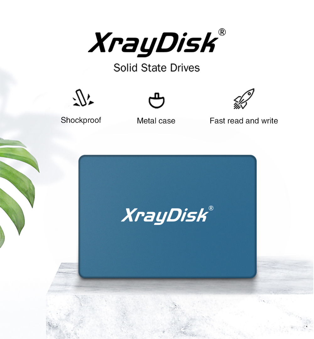 Xraydisk1ТБВнутреннийSSD-дискM540Синий(PB201T5001TB)