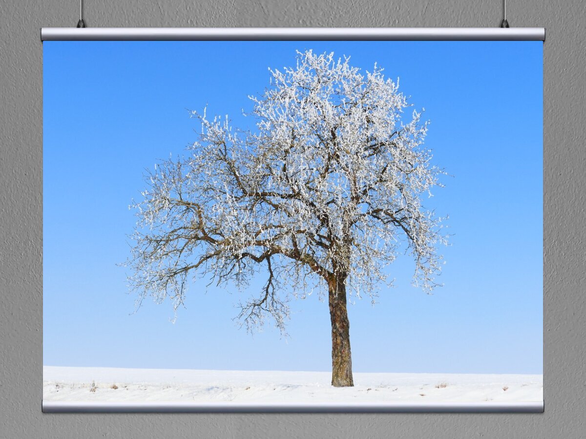 "Soft Rime" Immagini - Sfoglia 16,988 foto, vettoriali e video Stock Adobe Stock