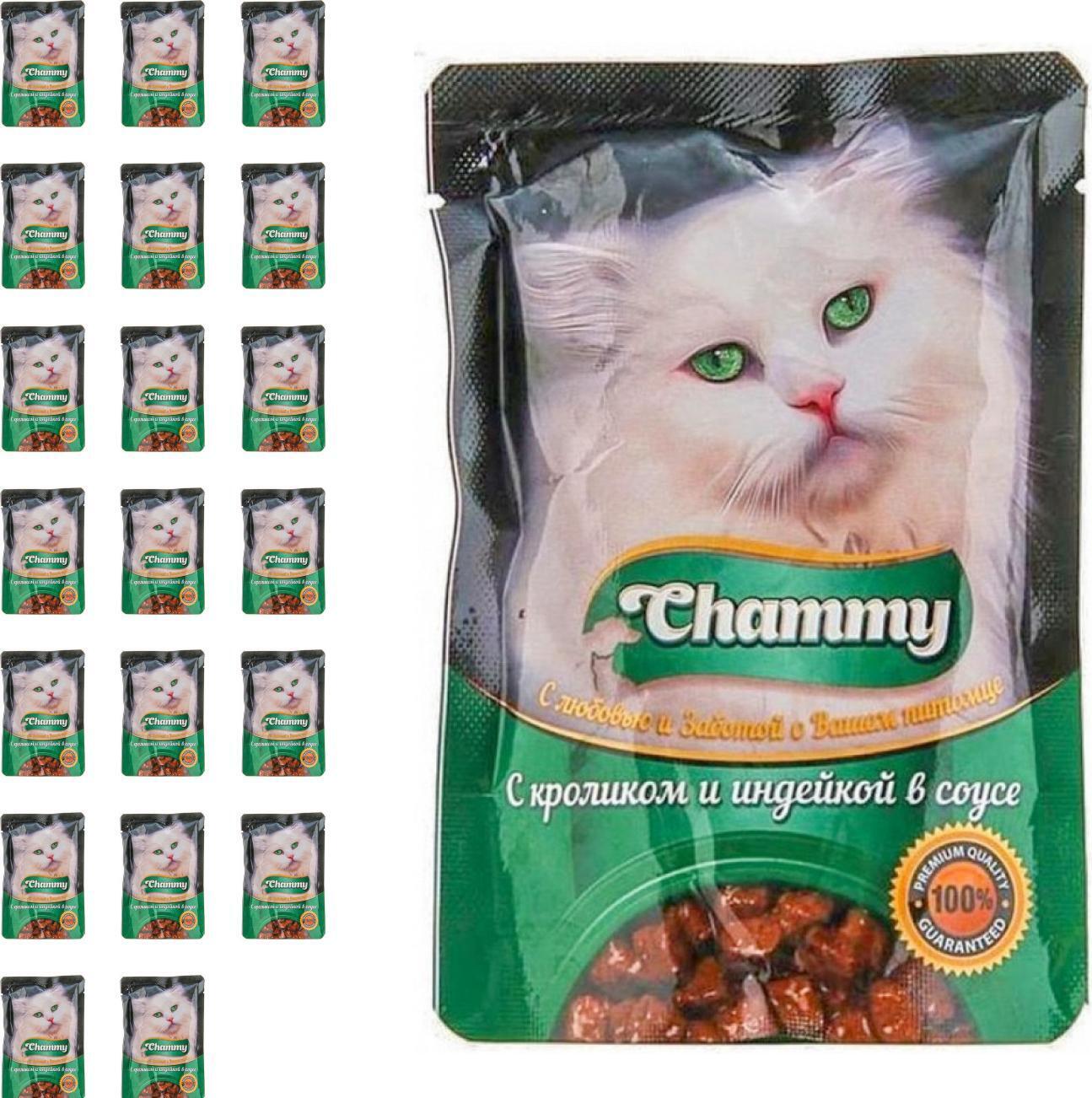 Индейка для кошек. Chammy корм для кошек 100г. Корм для кошек Chammy 100 г с говядиной в соусе. Корм для кошек Chammy с говядиной 1.9 кг. Chammy корм для кошек влажный 100гр.