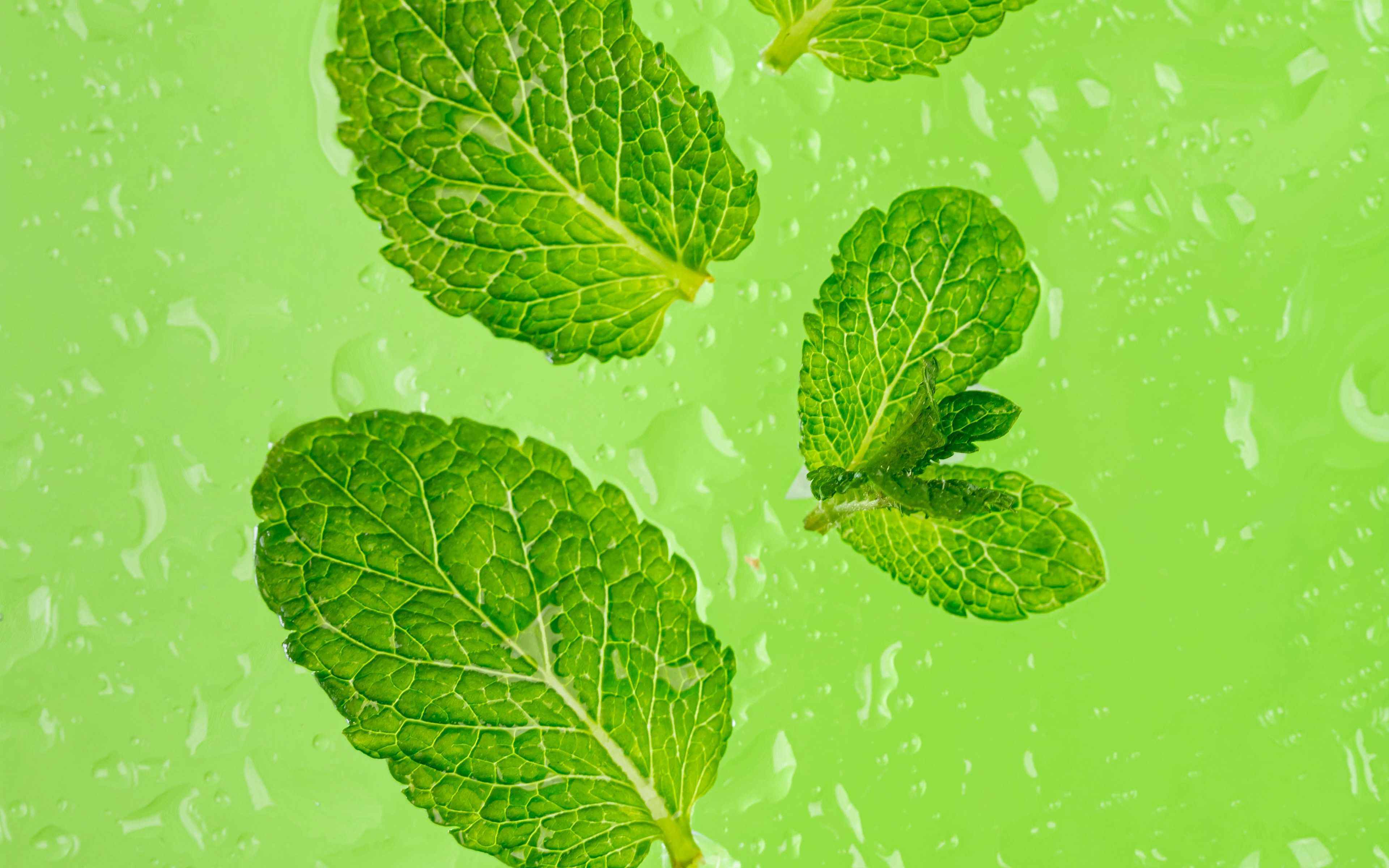 Lime Green Wallpaper 21080 1920x1080 px HDWallSource.com Lime green wallpaper, G