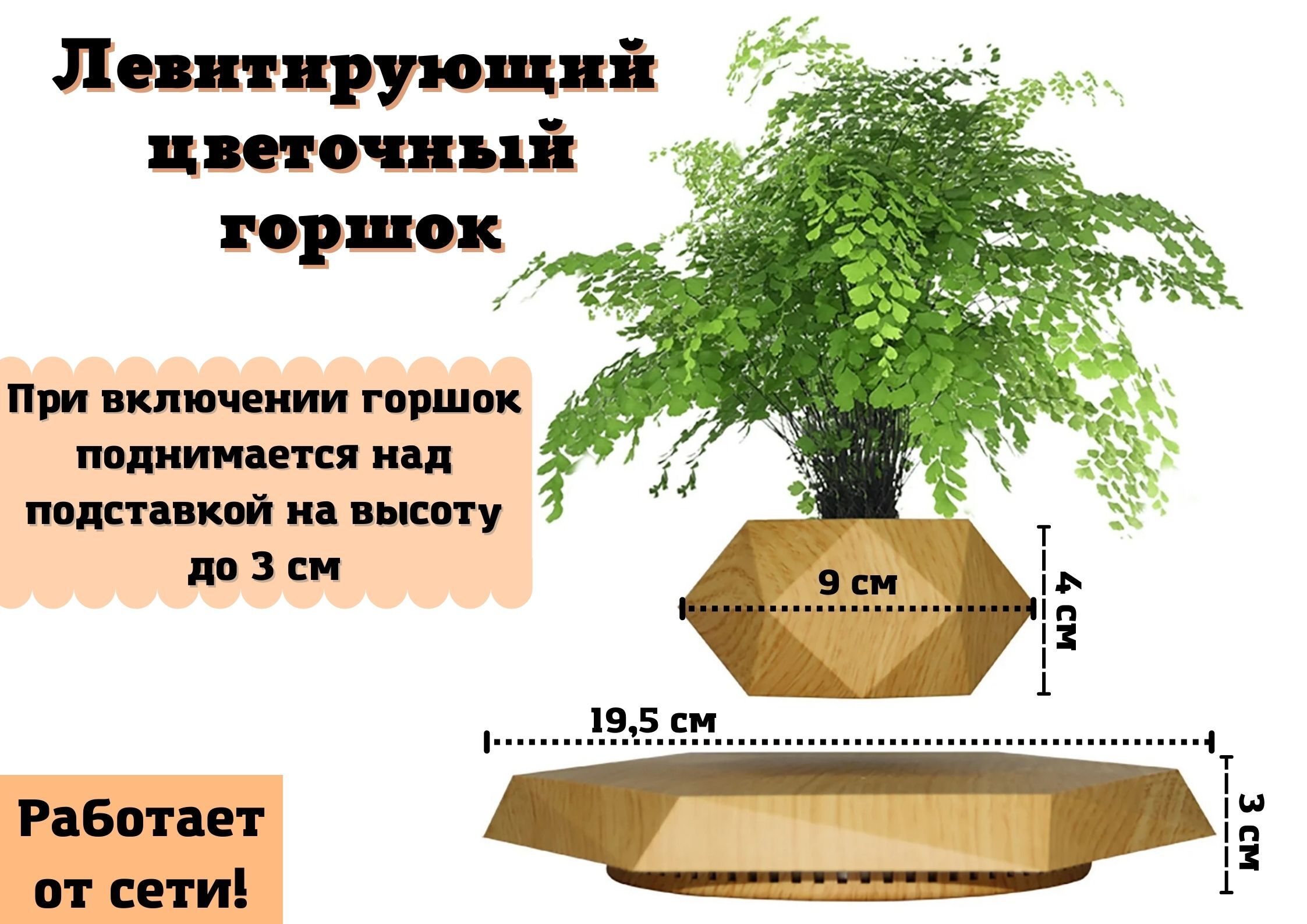 Левитирующий Горшок С Растением Купить В Москве