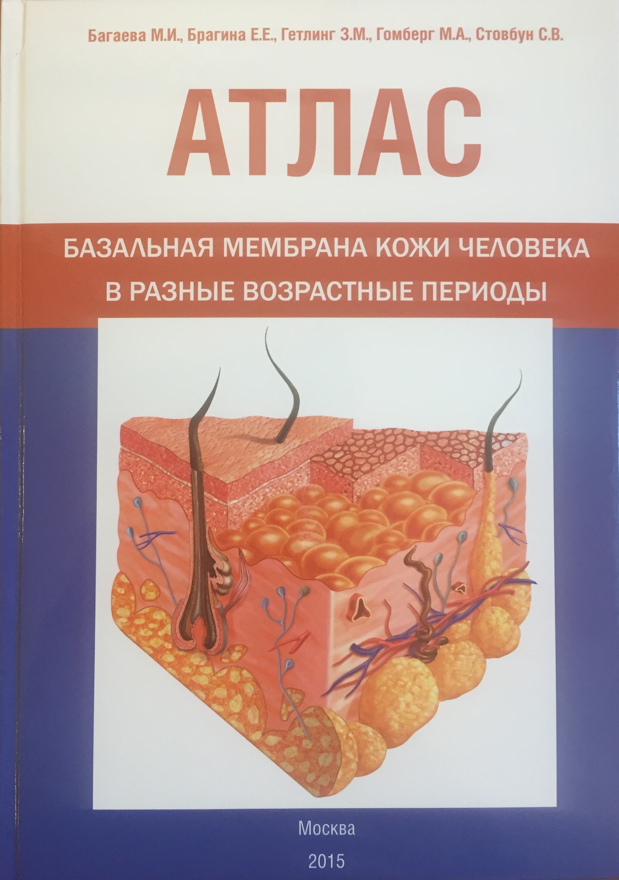 Кожные атласы. Книга про кожу. Книга про кожу человека. Мембрана кожи. Мембрана кожи человека.