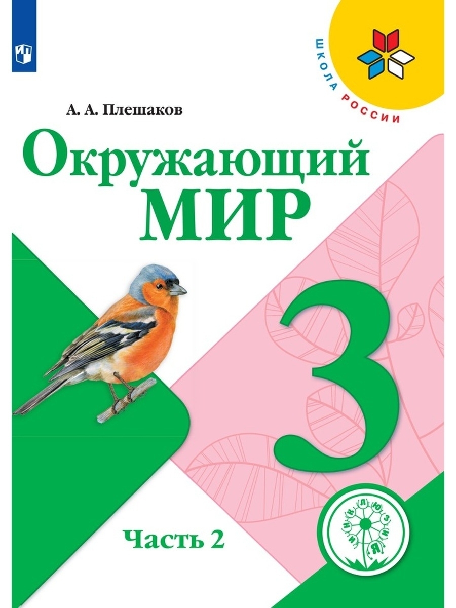 Окружающий мир. 3 класс. Учебное пособие. В 4 ч. Часть 2 (для слабовидящих  обучающихся) | Плешаков Андрей Анатольевич - купить с доставкой по выгодным  ценам в интернет-магазине OZON (660228598)