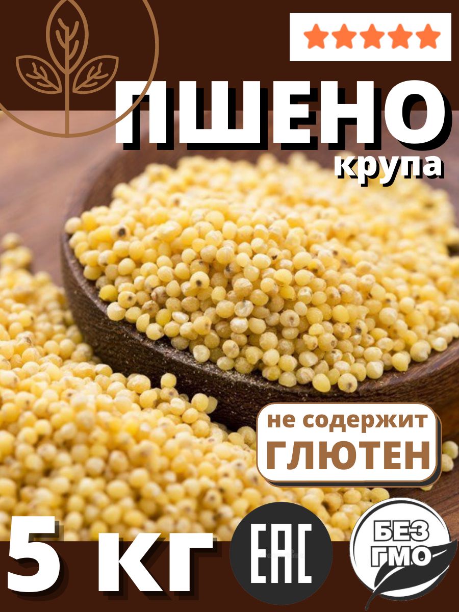 Пшено содержит. Просо крупа. Пшено и пшенка. Пшено просо фото. Просо пищевое.