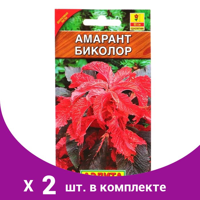 Амарант Растения Семенами Купить Семена