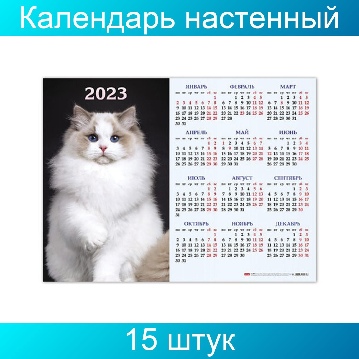 Купить Календарь Плакат На 2025 Год Настенный