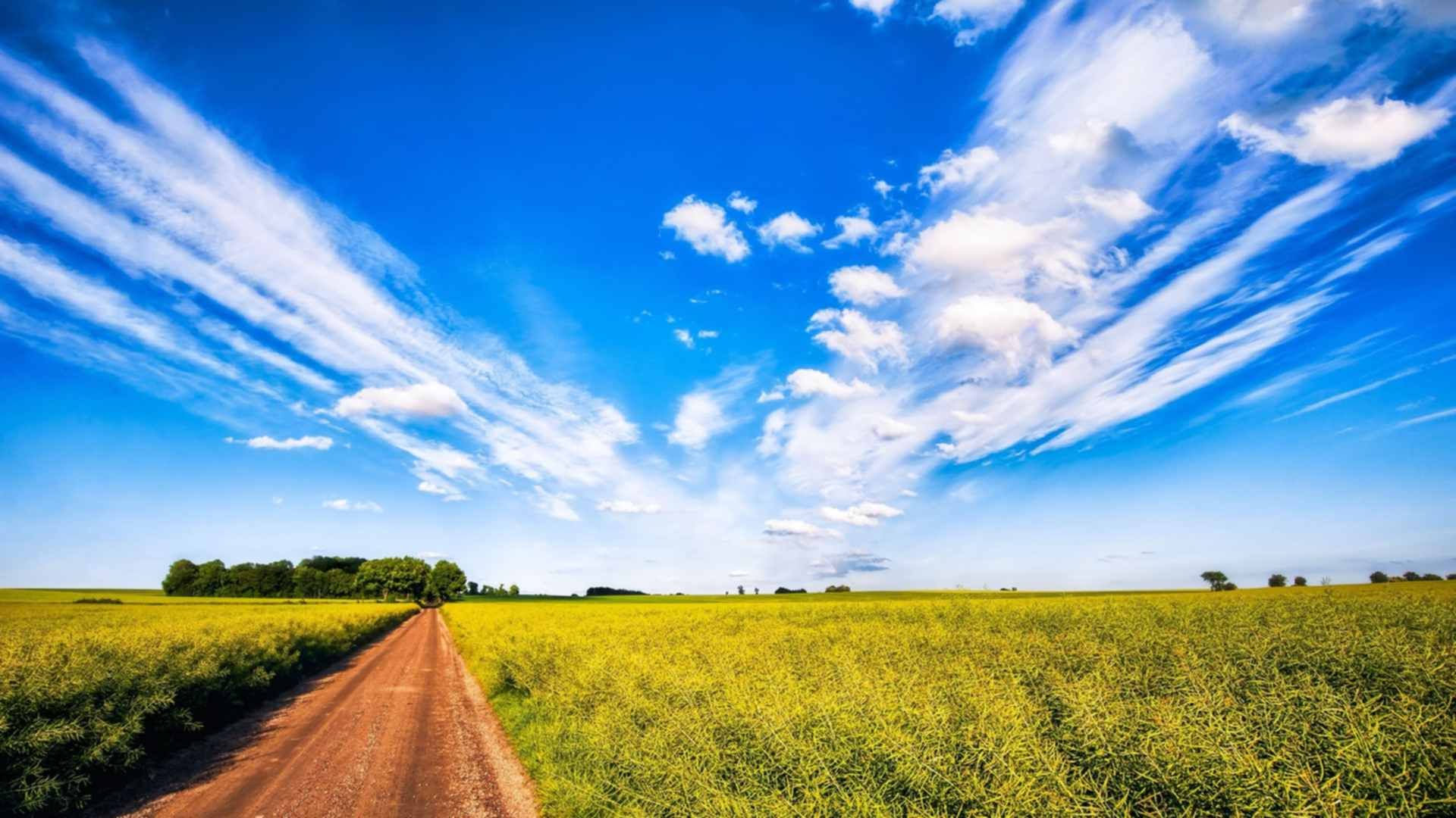 Природная перспектива. Дорога в поле. Небо лето. Природа поле небо. Лето поле небо.