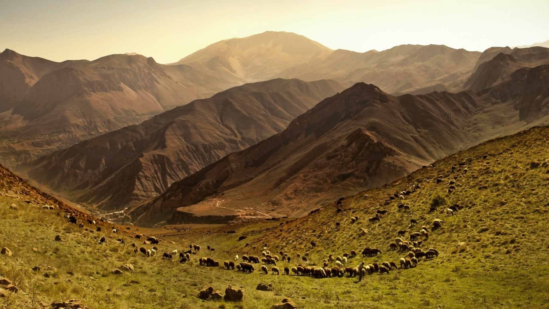 Одинокий пастух слушать без рекламы. Одинокий пастух. Пейзажи Ирана горы. Одинокий пастух картина. Одинокий пастух картинки.