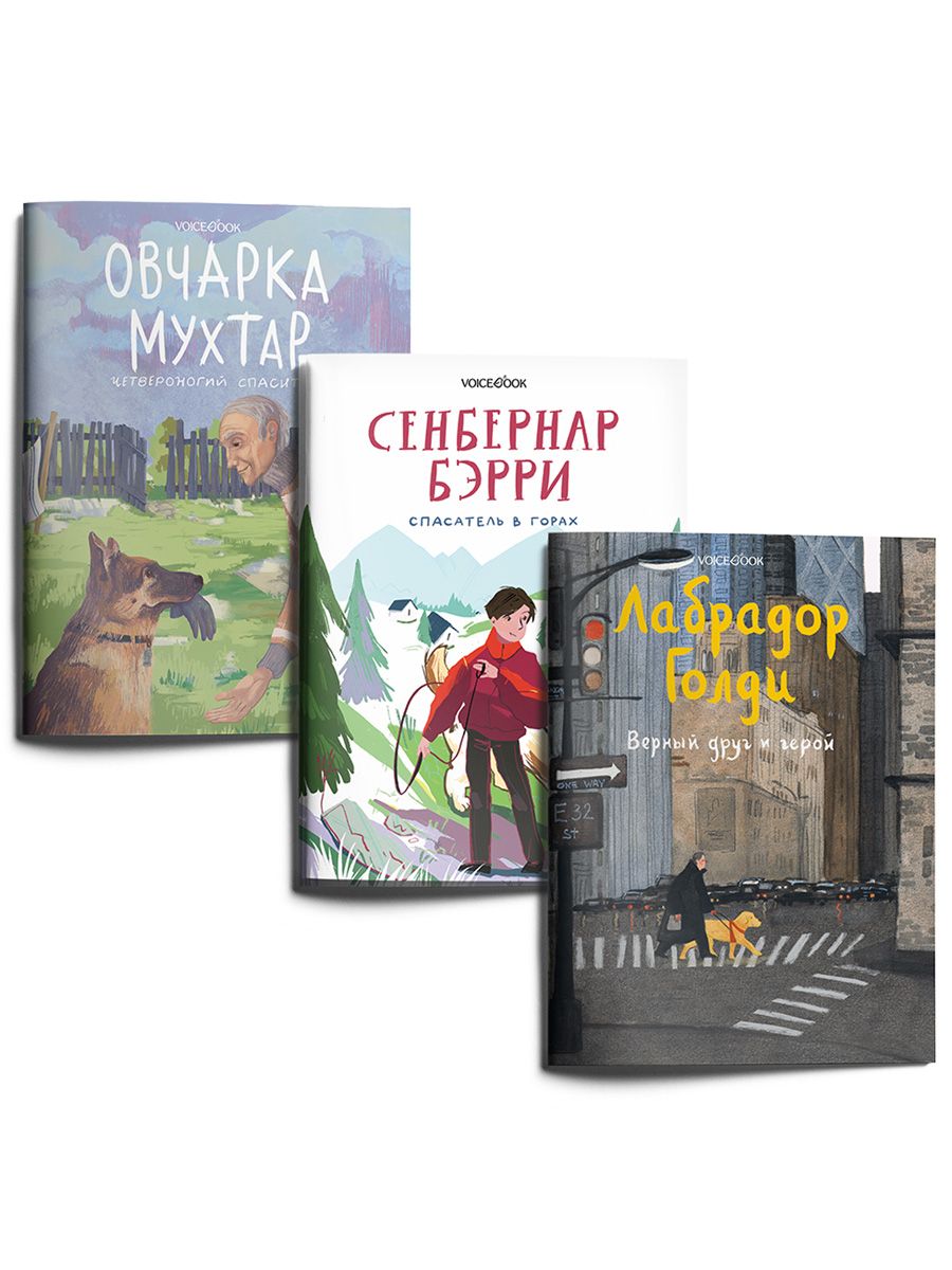 Комплект из 3 книг 