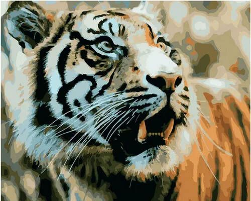 Картина по номерам 40х50 Paintboy Испуганный тигр