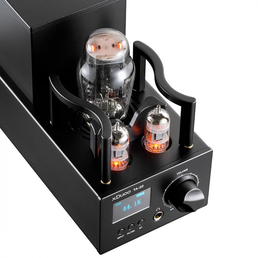 Musician taurus r2r dac