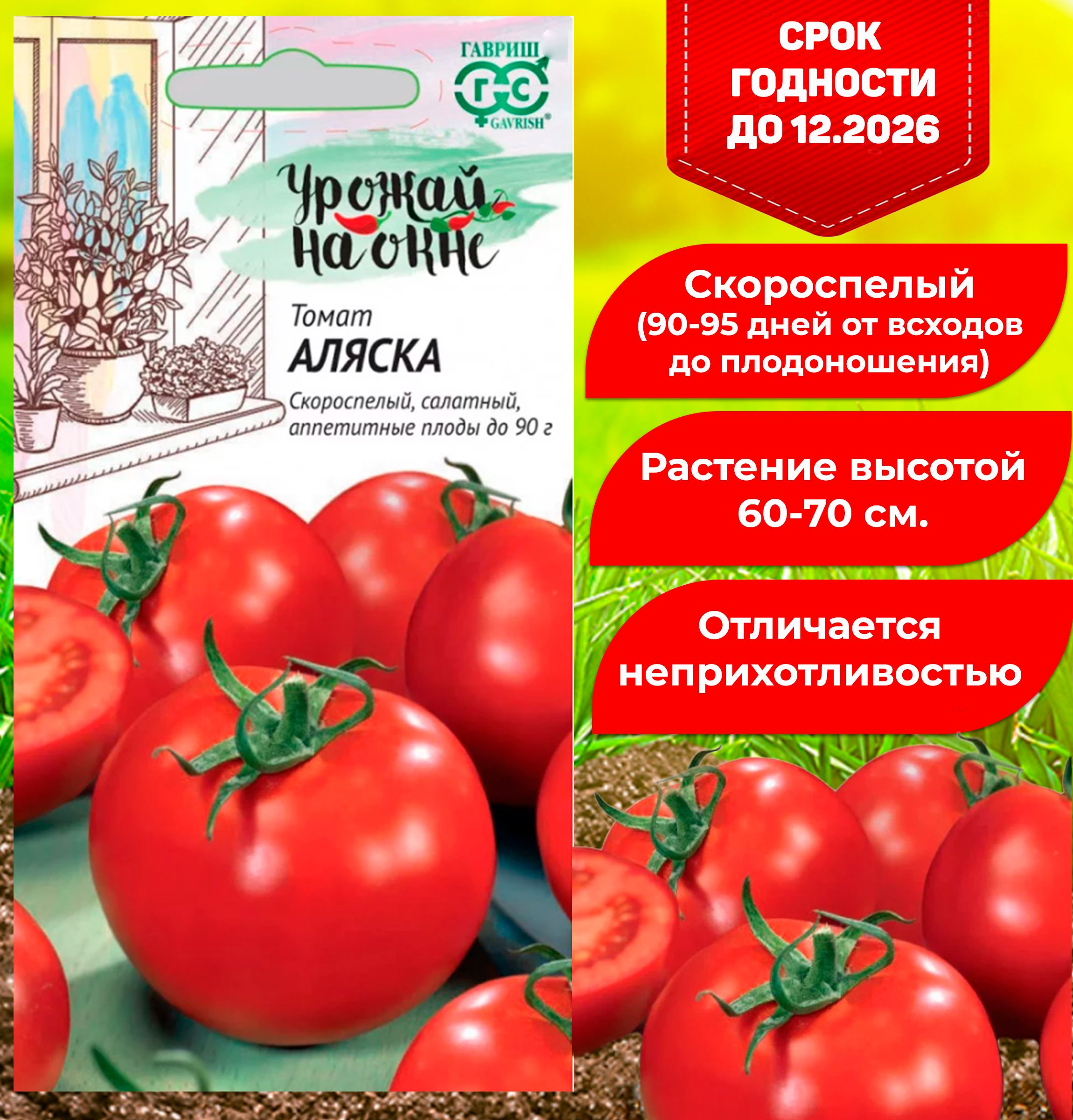 Антюфей томат отзывы фото. Томат Аляска. Томат Аляска СЕДЕК. Антюфей томат отзывы. Антюфей томат описание сорта характеристика фото отзывы.