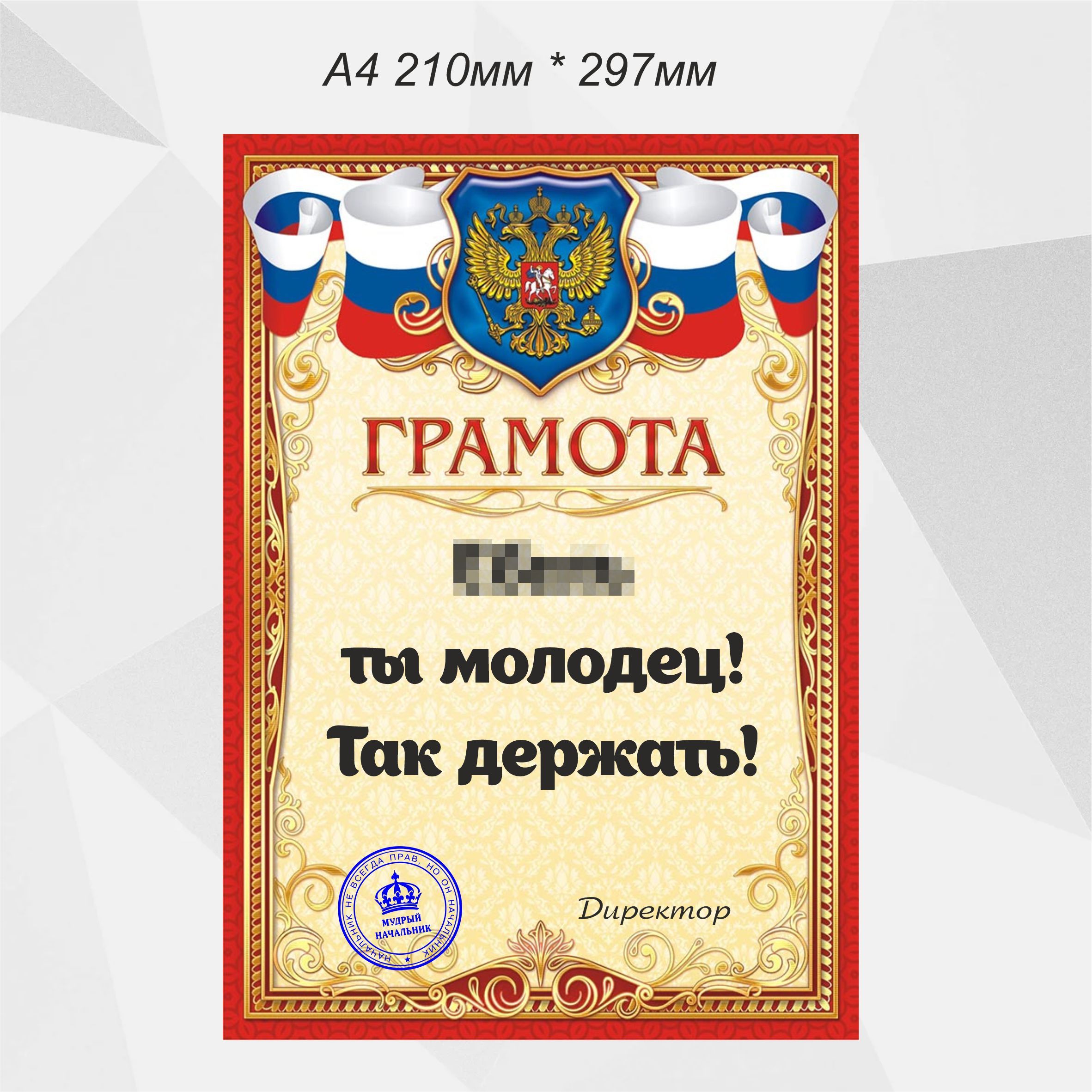 Грамота в подарок Новый год, Универсальный - купить по выгодной цене в  интернет-магазине OZON (654578827)