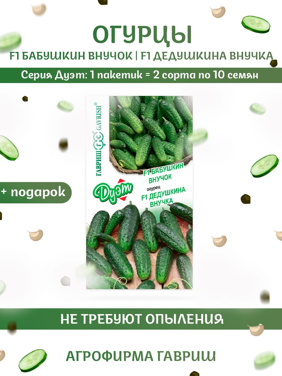 Любимый Внучок Огурец Купить Семена