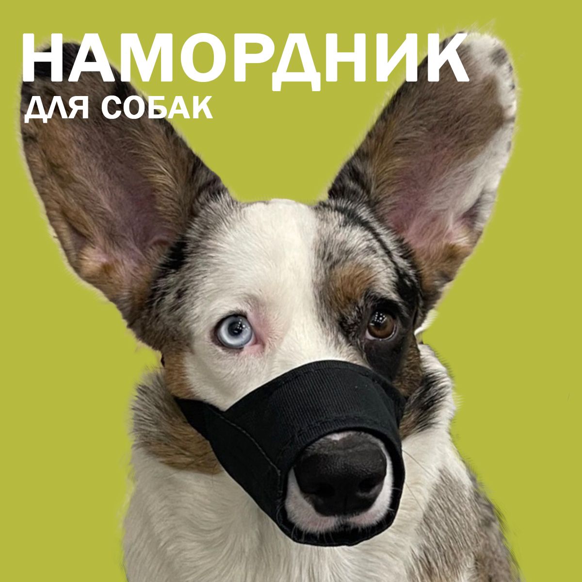 НамордникдлясобакнейлоновыйM