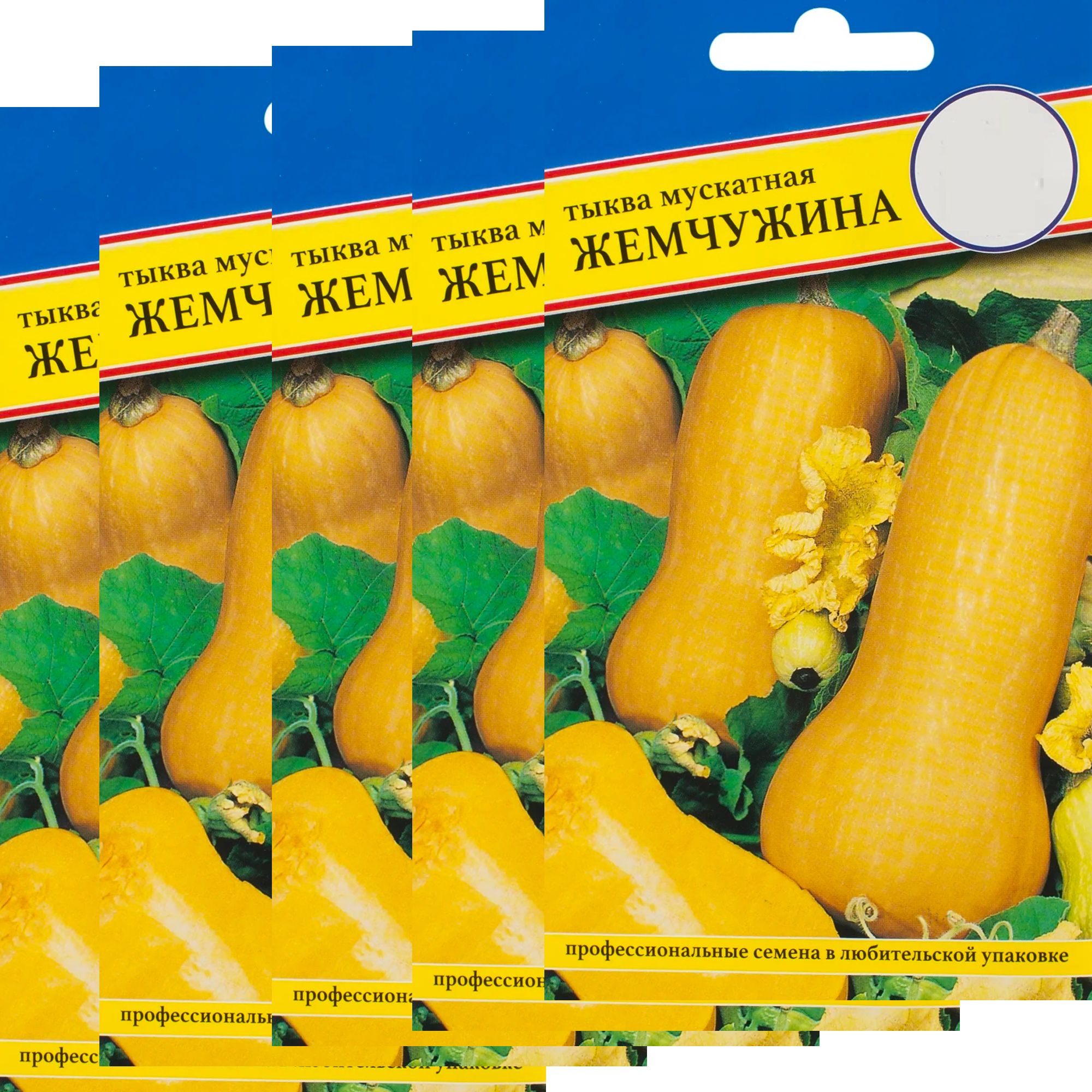 Тыква Жемчужина Фото