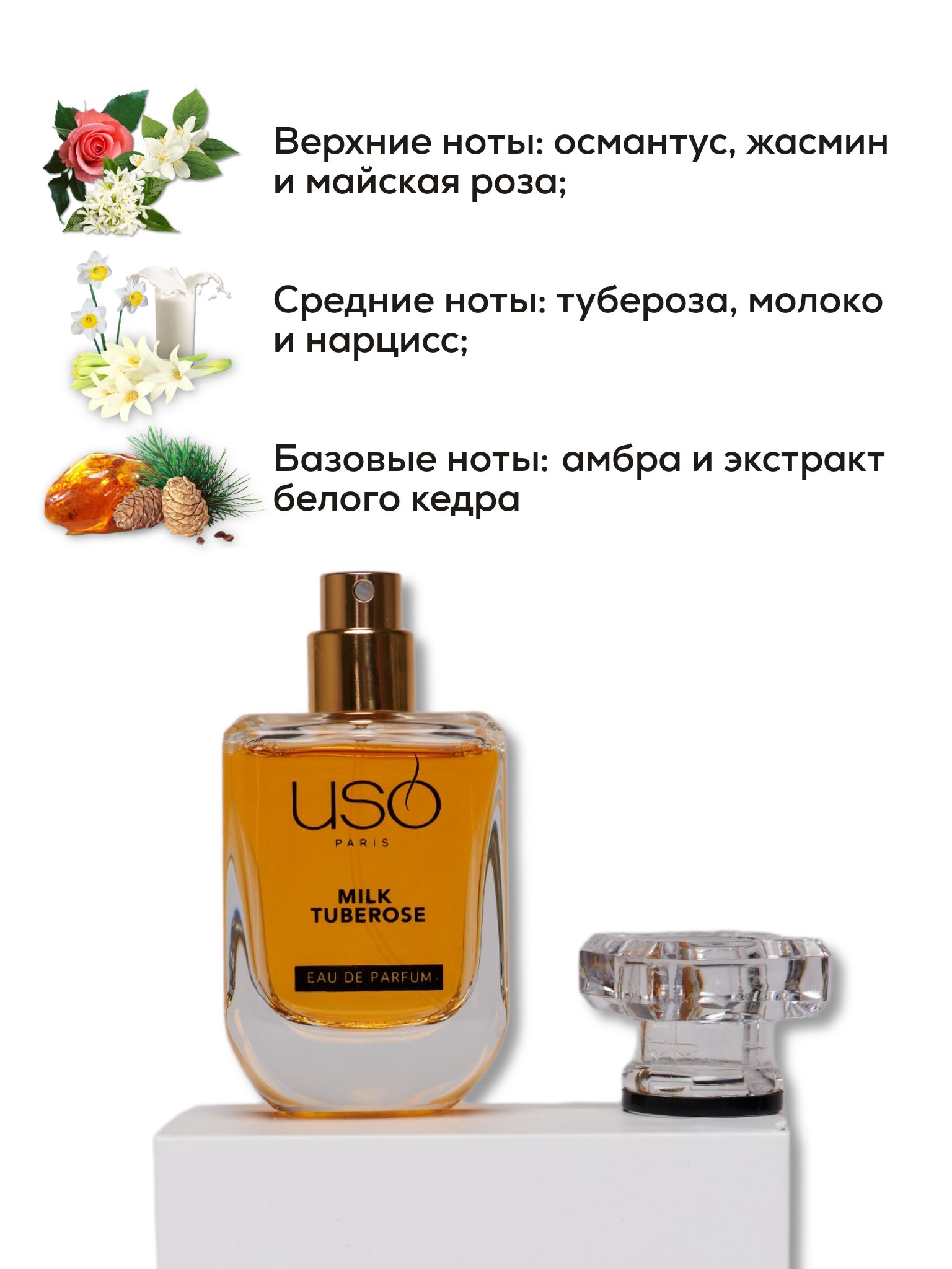 Uso milk tuberose. Uso paris milk tuberose. Uso paris milk tuberose. Uso paris milk tuberose. Uso парфюм.