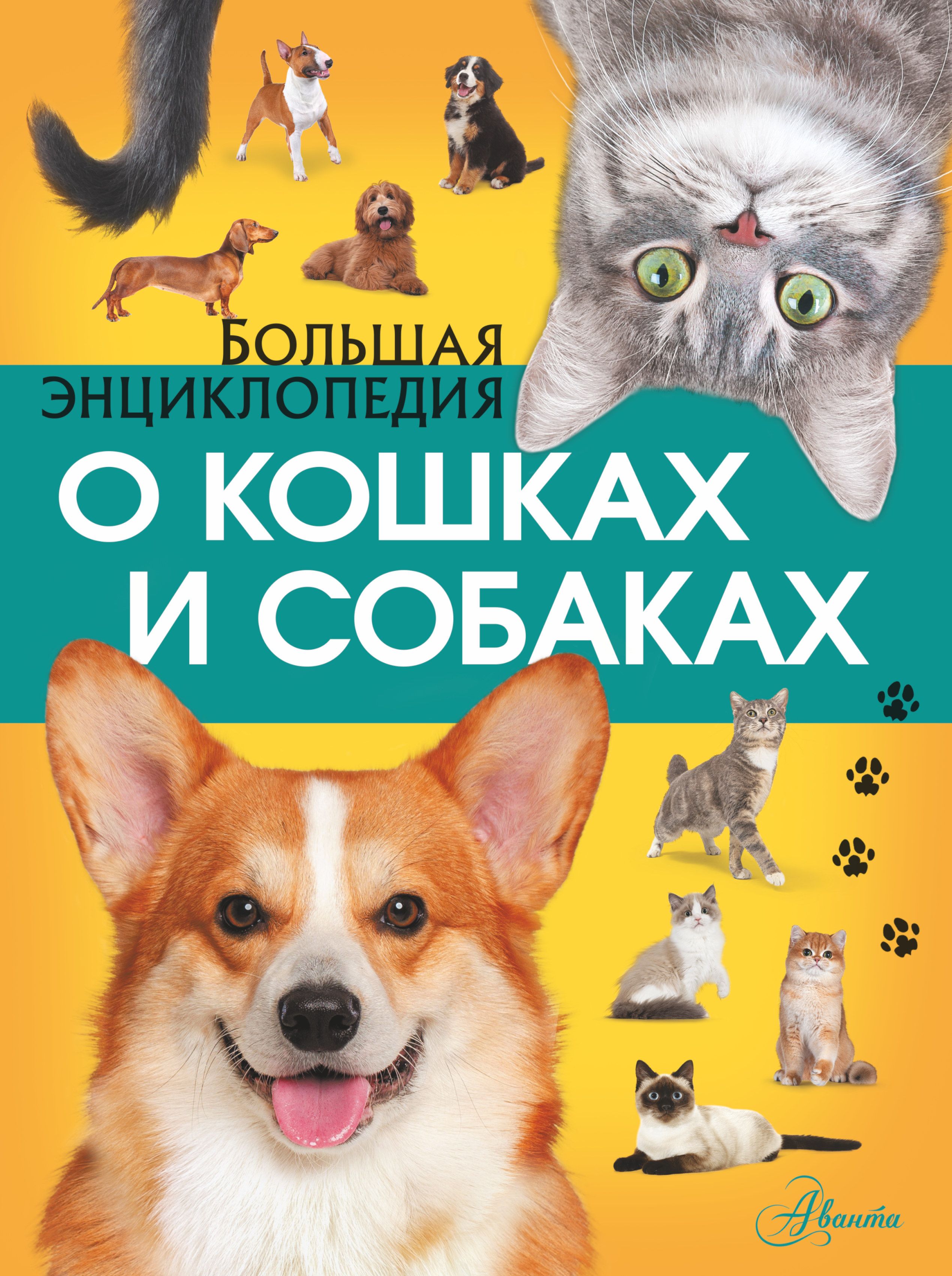 Большая энциклопедия о кошках и собаках | Барановская Ирина Геннадьевна, Вайткене Любовь Дмитриевна