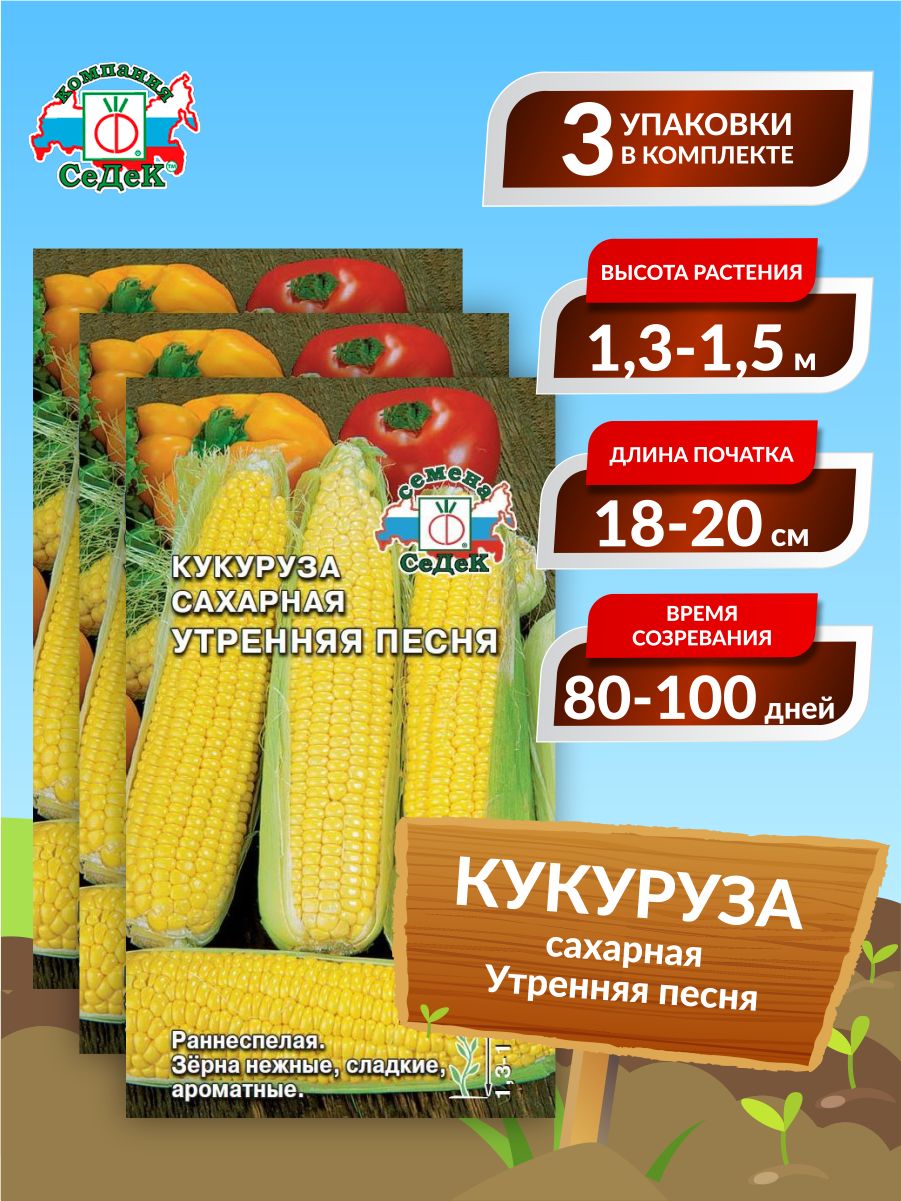 Семена Ноа Кукурузы Купить