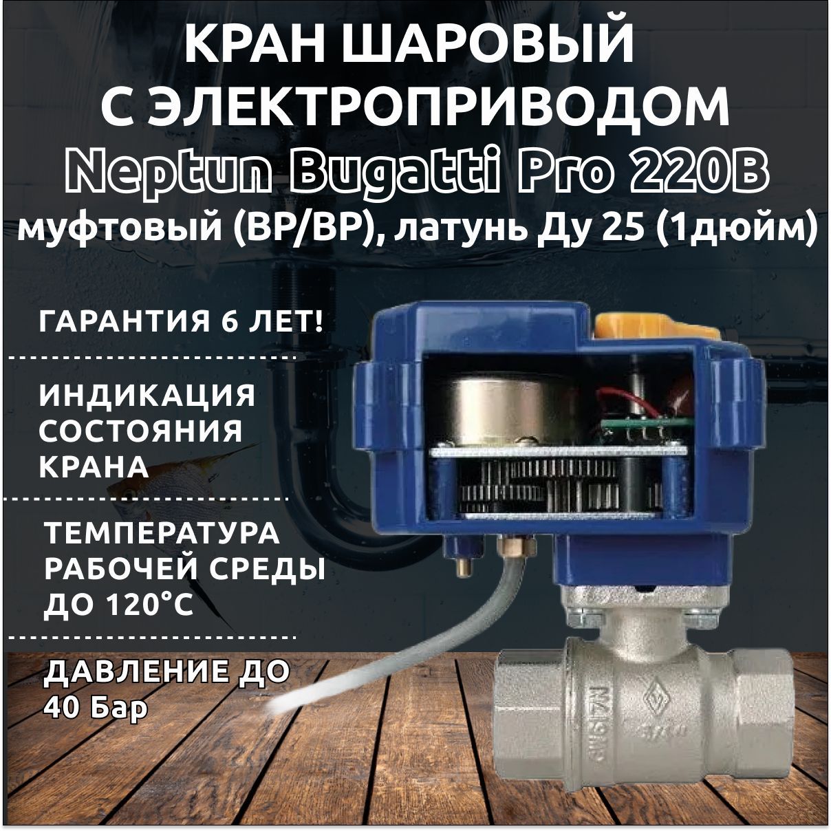 Neptun bugatti pro 220в схема