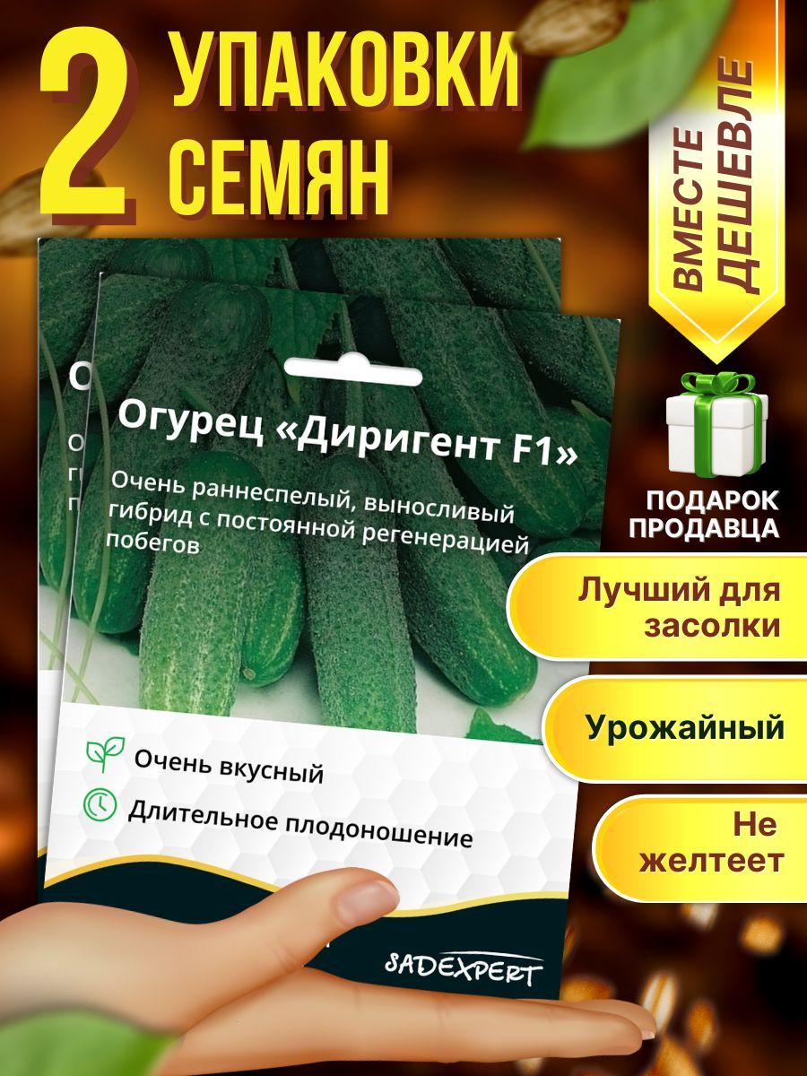 Диригент Огурцы Семена Купить