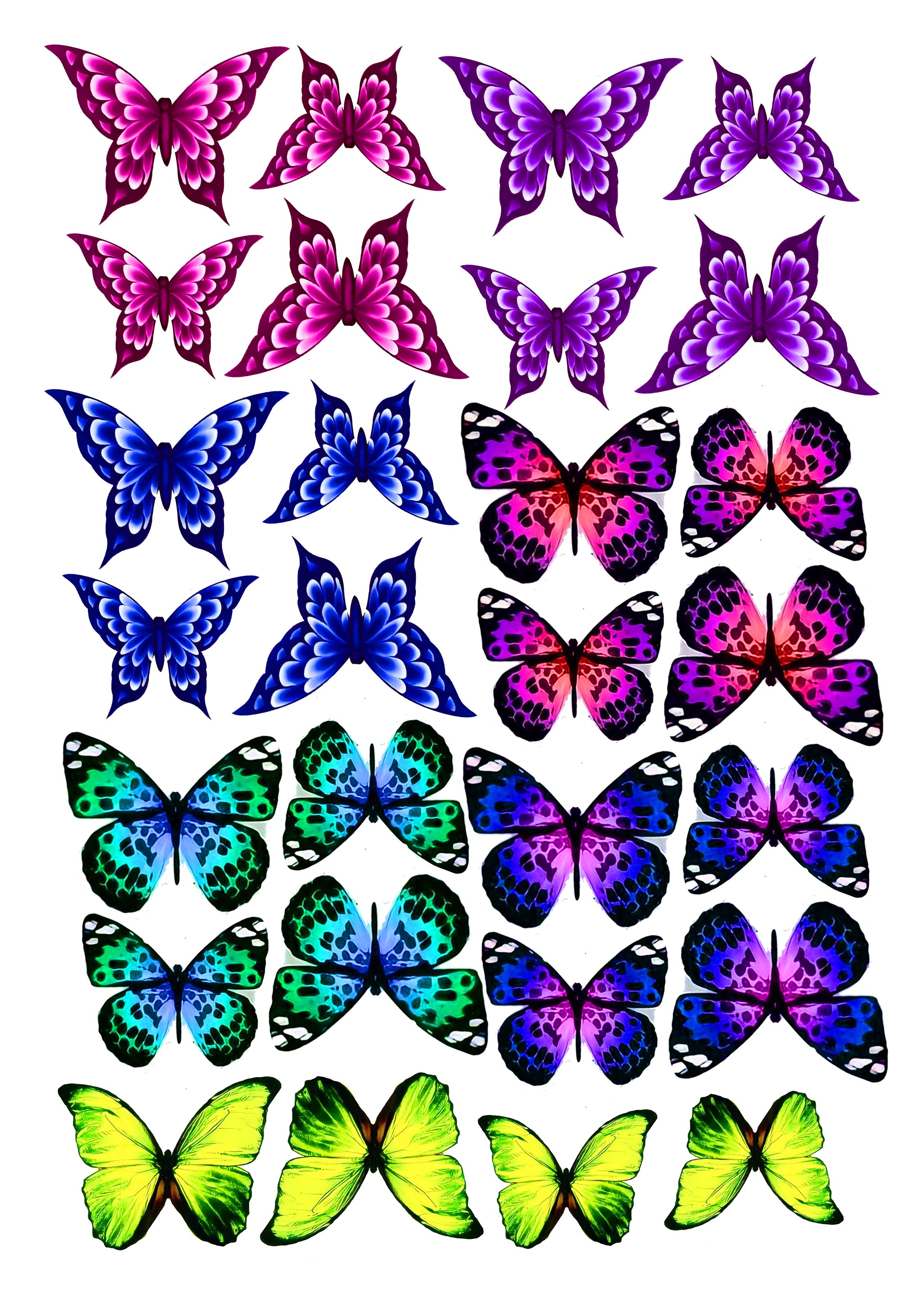 Бабочки 4 штуки. Имена бабочек. Размеры бабочек. Названия бабочек с картинками. Бабочки из ткани купить в челябинске в магазине.