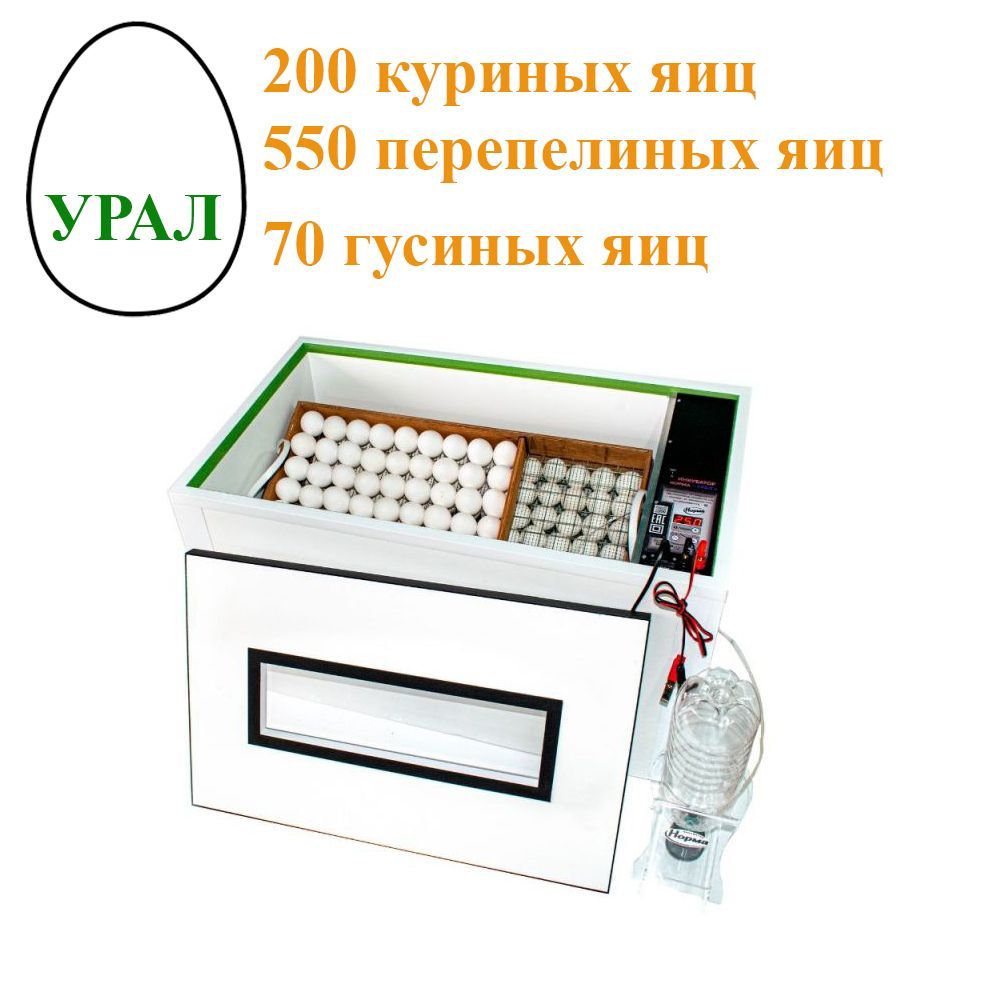 Инкубатор норма урал 200. Инкубатор блиц норма урал на 200. Инкубатор урал на 200. Инкубатор блиц урал. Инкубатор для яиц урал на 200 автоматический.