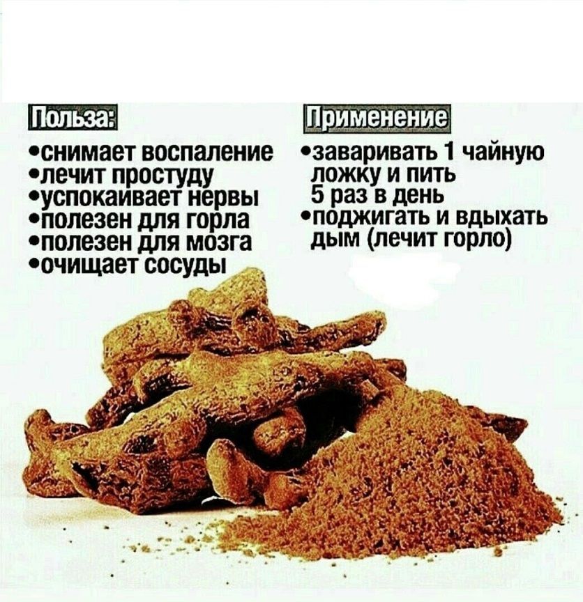 Кыст аль хинди картинки