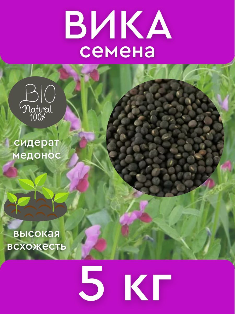 Купить Семена Вики Яровой В Алтайском Крае