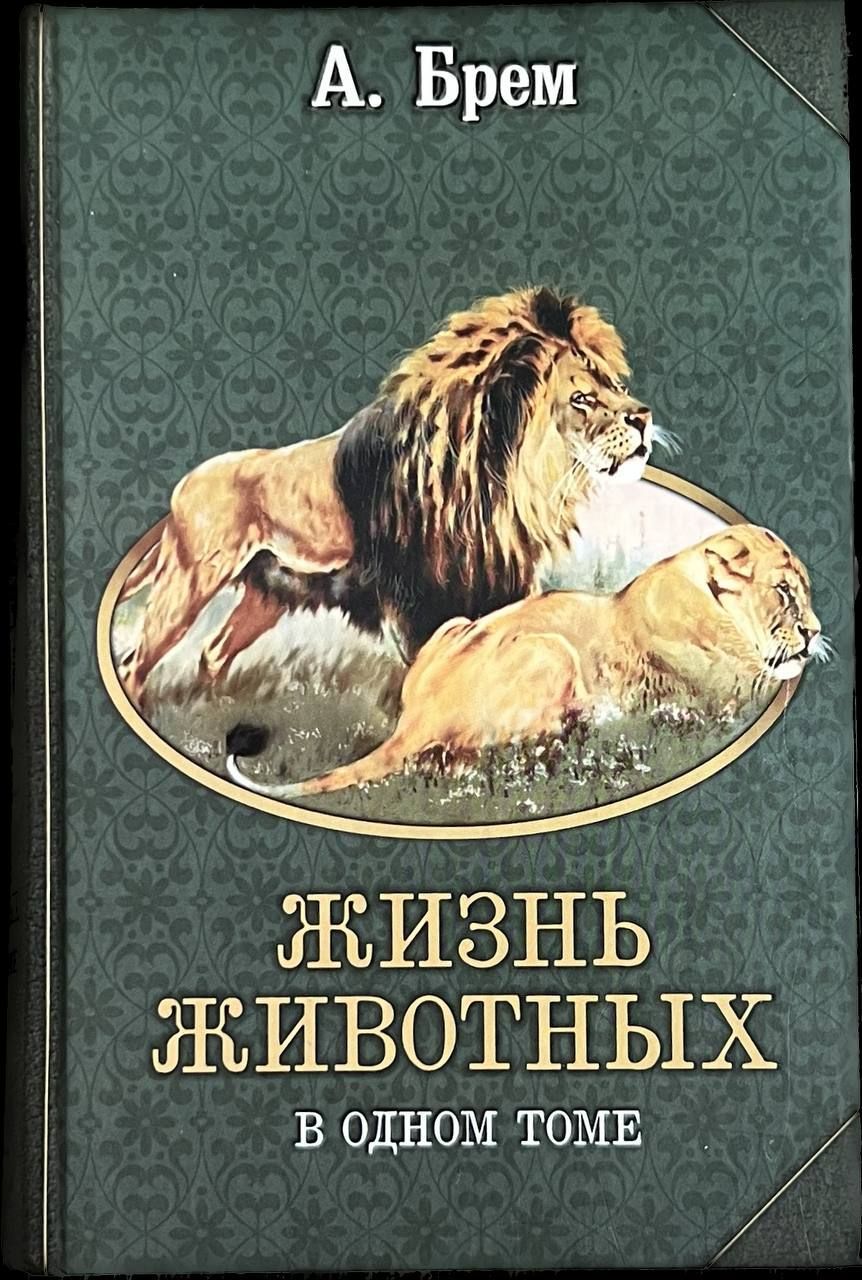 Брем жизнь. А. Э. Брема «жизнь животных». Купить7 томов. Книга Брем жизнь животных. 7 Томов Брем жизнь животных. Жизнь животных в одном томе