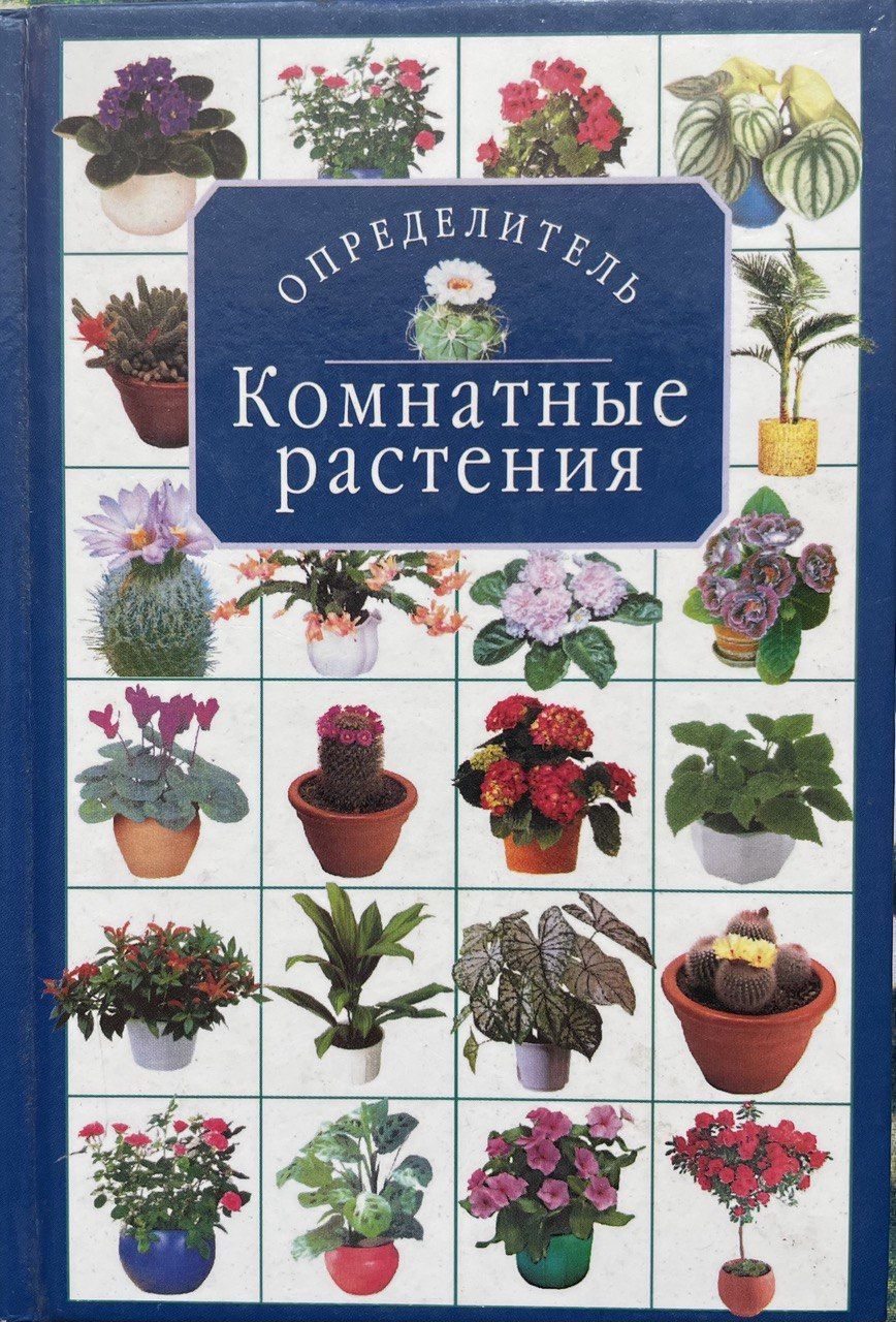 Определитель комнатных. Комнатные растения. Определитель комнатных цветов. Атлас комнатных растений. Комнатные растения каталог с фотографиями.