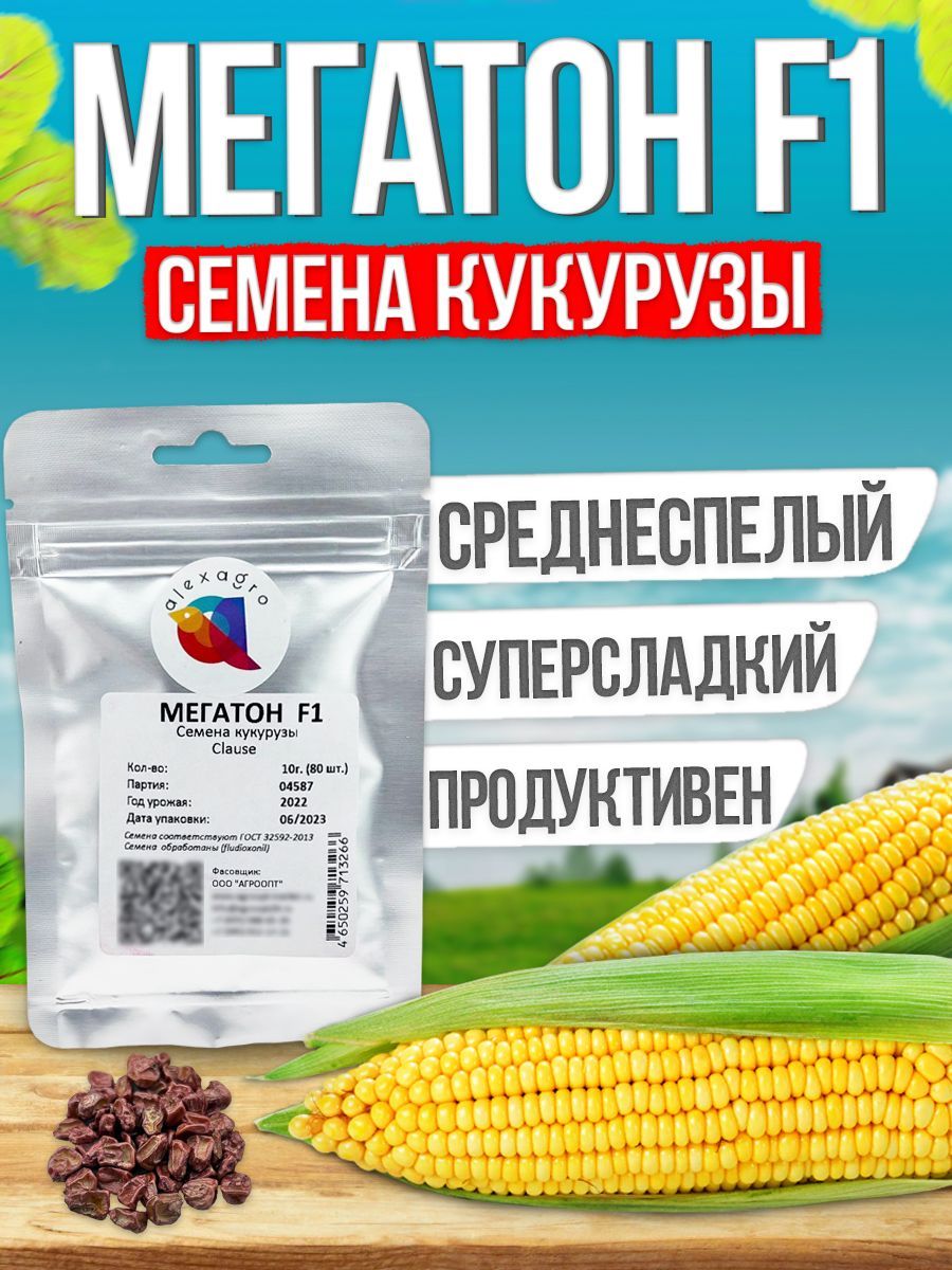 МегатонF1семенакукурузы(Clause/ALEXAGRO)(10гр.)