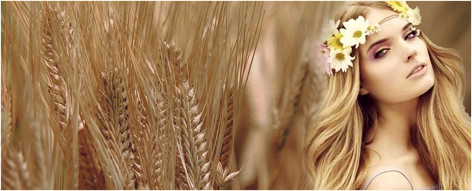 Маска для волос пшеница. Пшеничный цвет волос. Девушка с пшеничными волосами. Девушка с волосами цвета пшеницы. Красивая девушка с пшеничными волосами.