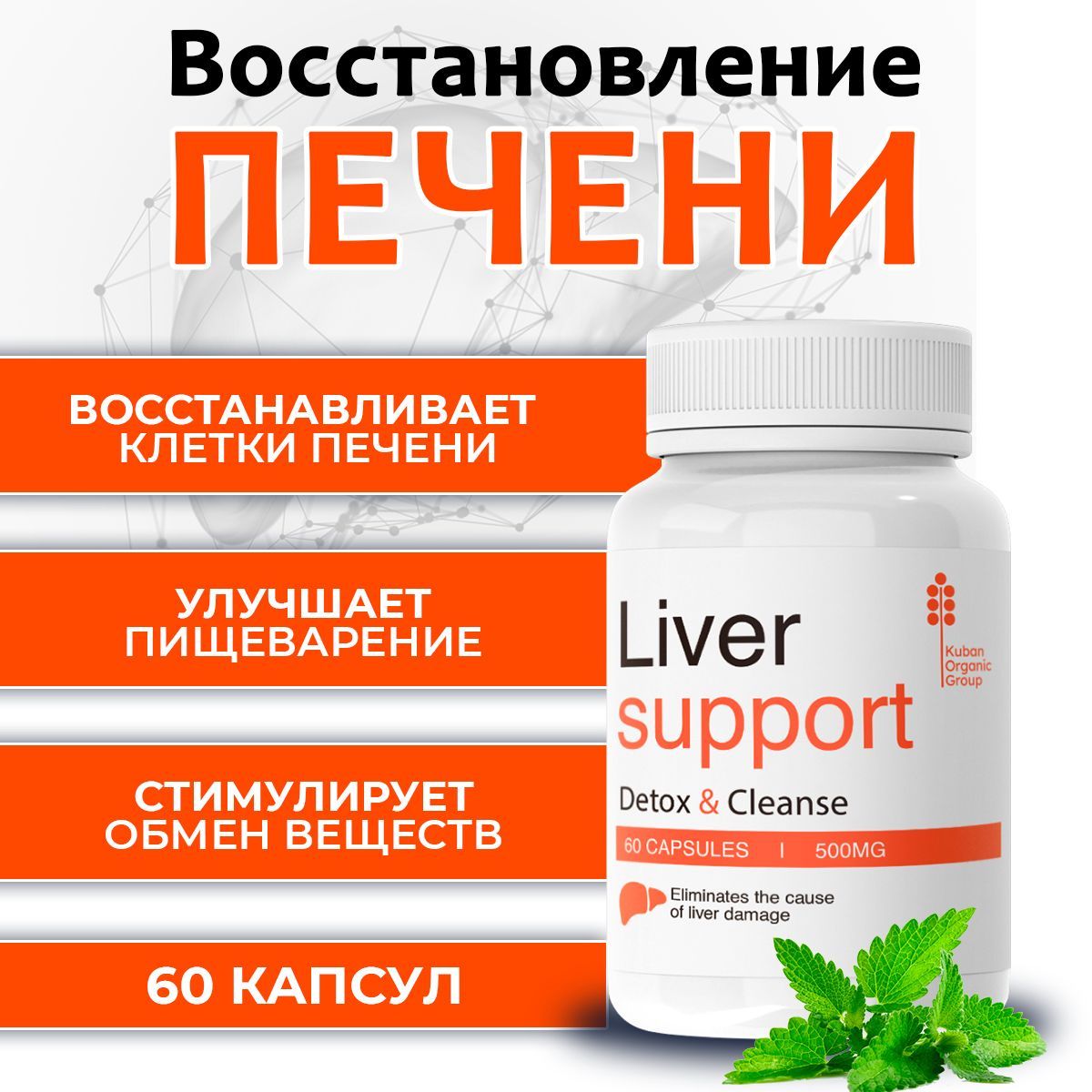 Liver support комплекс для печени, очищение от токсинов, пищевая добавка -  купить с доставкой по выгодным ценам в интернет-магазине OZON (993794241)