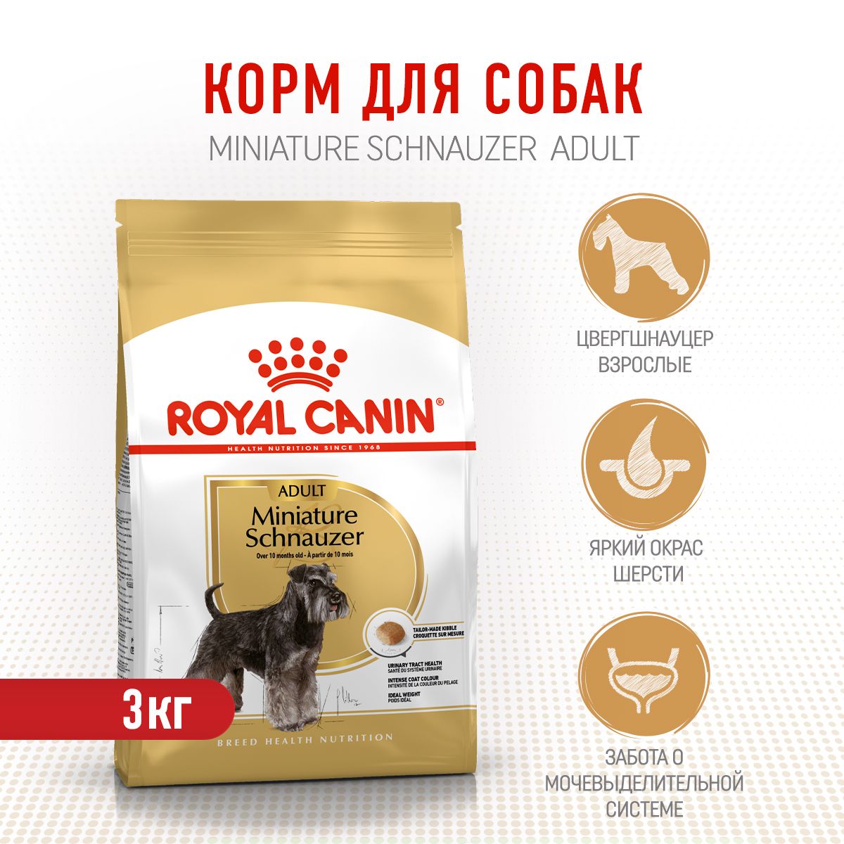 Royal canin mini sales schnauzer