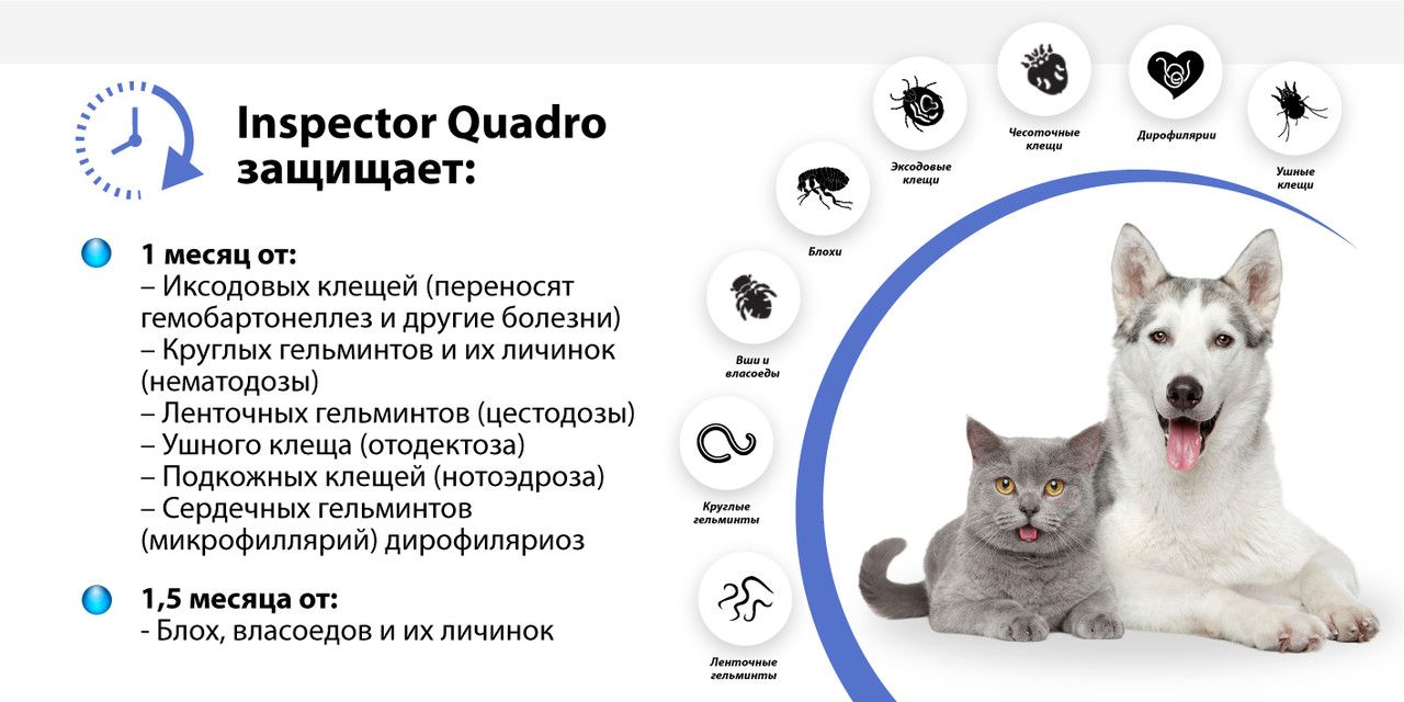 Капли от блох клещей гельминтов Inspector Quadro для кошек от 4 до 8 к(图5)