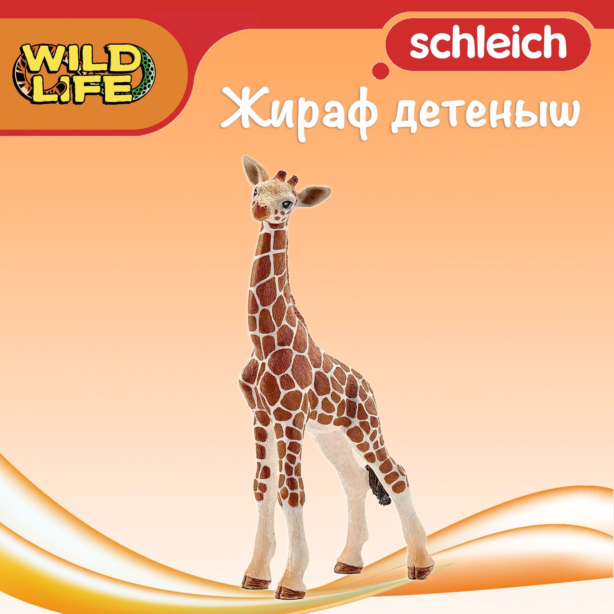 Schleich hot sale giraffe calf