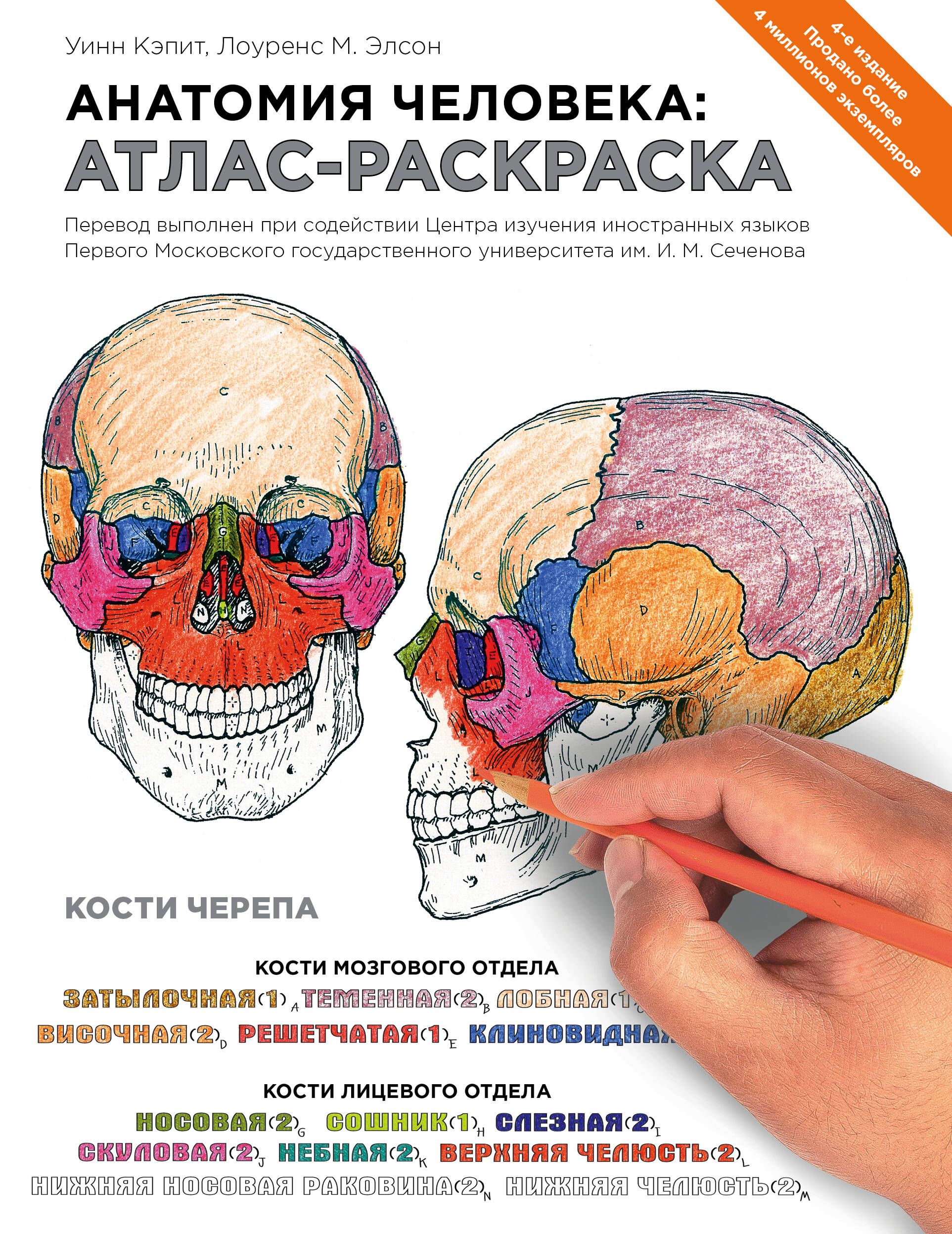 Анатомия атлас раскраска. Анатомия человека атлас раскраска Уинн Кэпит. Элсон Лоренс атлас анатомия. Анатомия Неттера атлас-раскраска. Элсон.атлас анатомия человека.