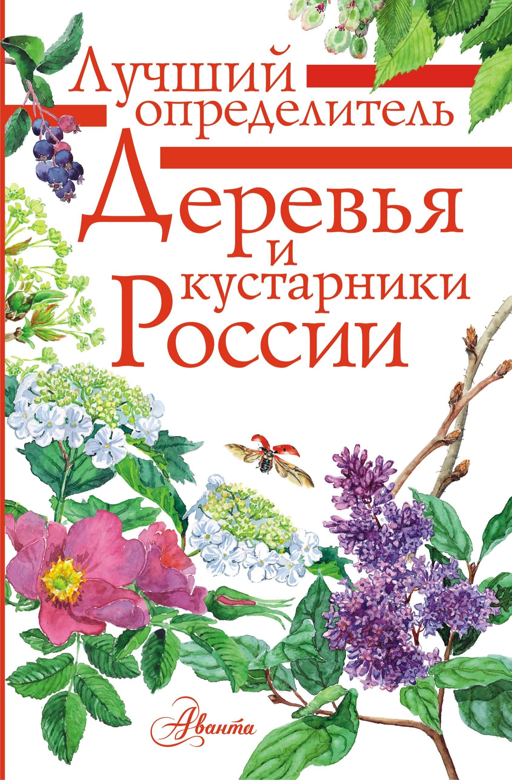 Определитель деревьев. Ирина Пескова: деревья и кустарники России. Определитель. Растения России. Определитель Пескова Ирина книга. Лучший определитель растения России.