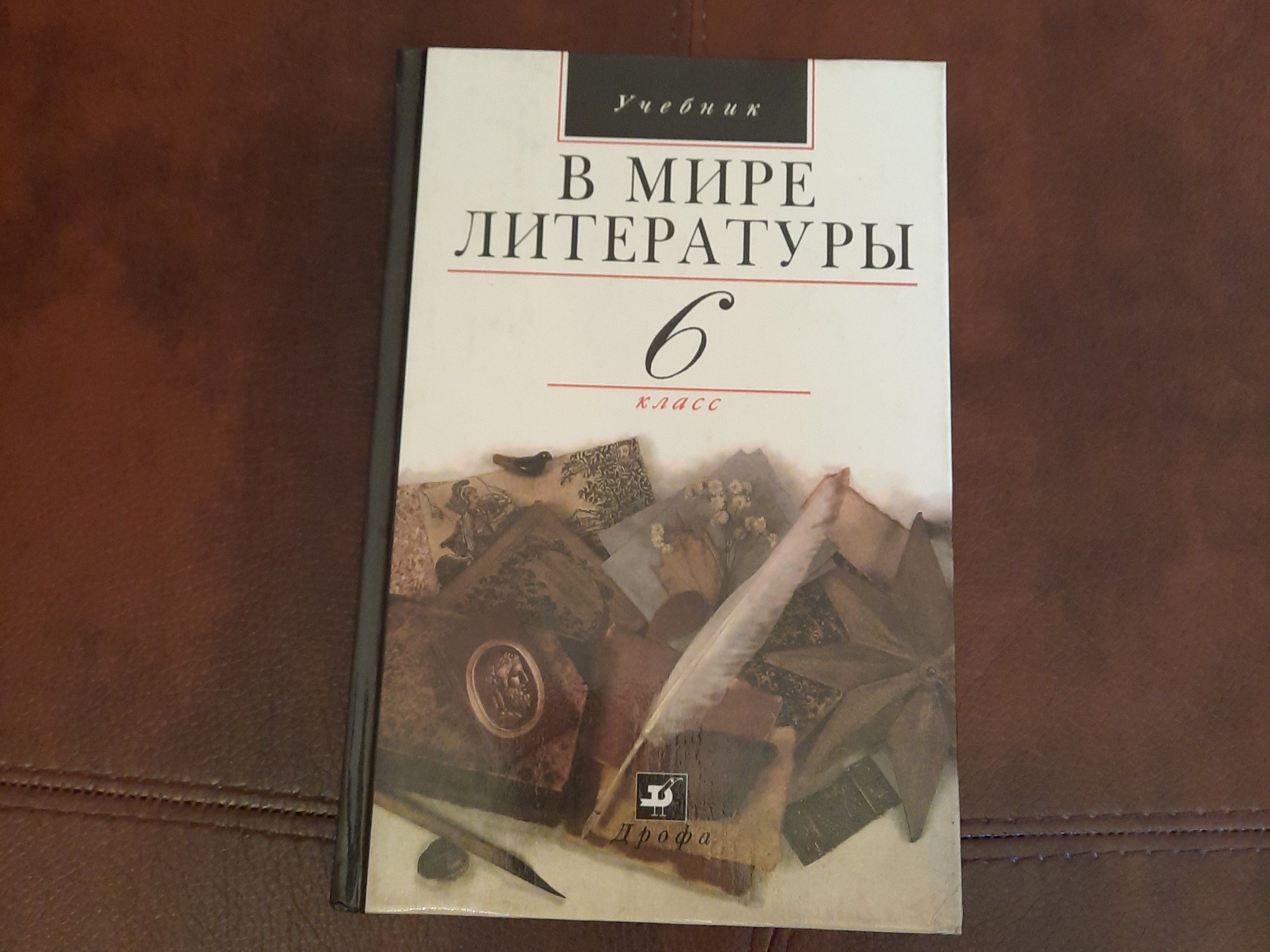 В мире литературы. Учебник-хрестоматия. 6 класс. | Кутузов Александр  Геннадиевич - купить с доставкой по выгодным ценам в интернет-магазине OZON  (1164533174)