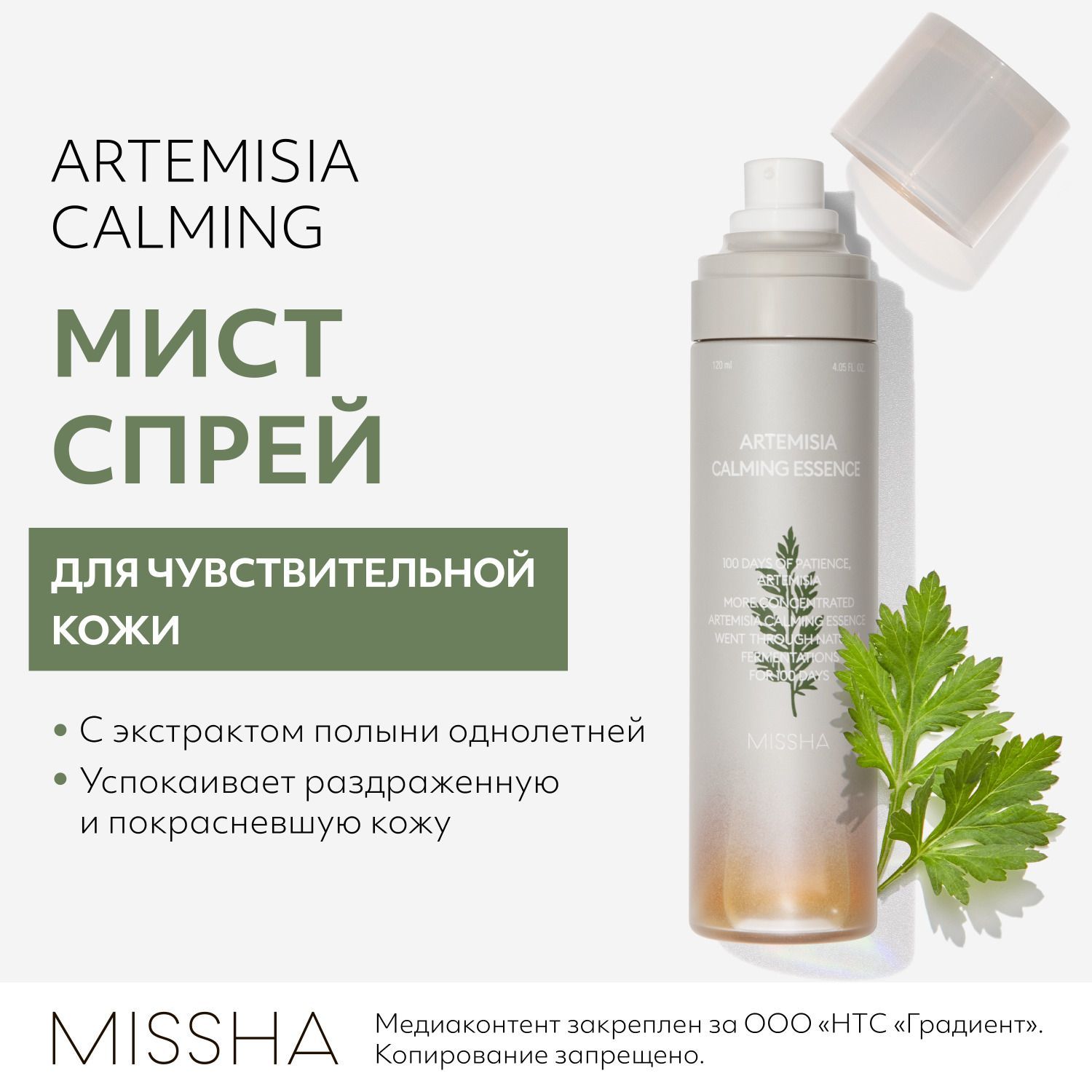 см care plus крем увлажняющий для лица care plus artemisia steam cream фото 113