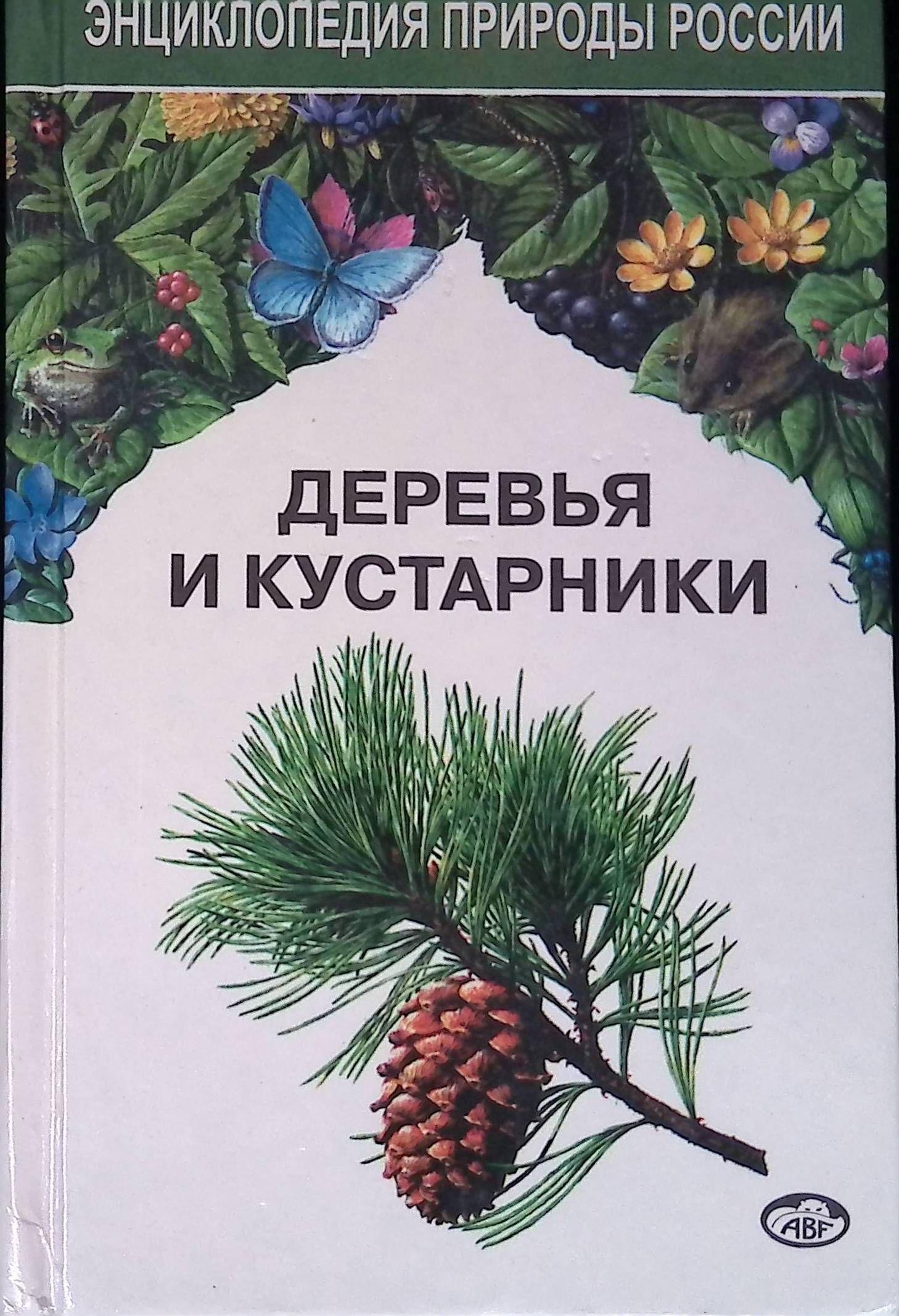 Книга деревья. Энциклопедия деревья и кустарники Алексеев. Энциклопедия природы России деревья и кустарники. Дерево с книгами. Книга деревья и кустарники.