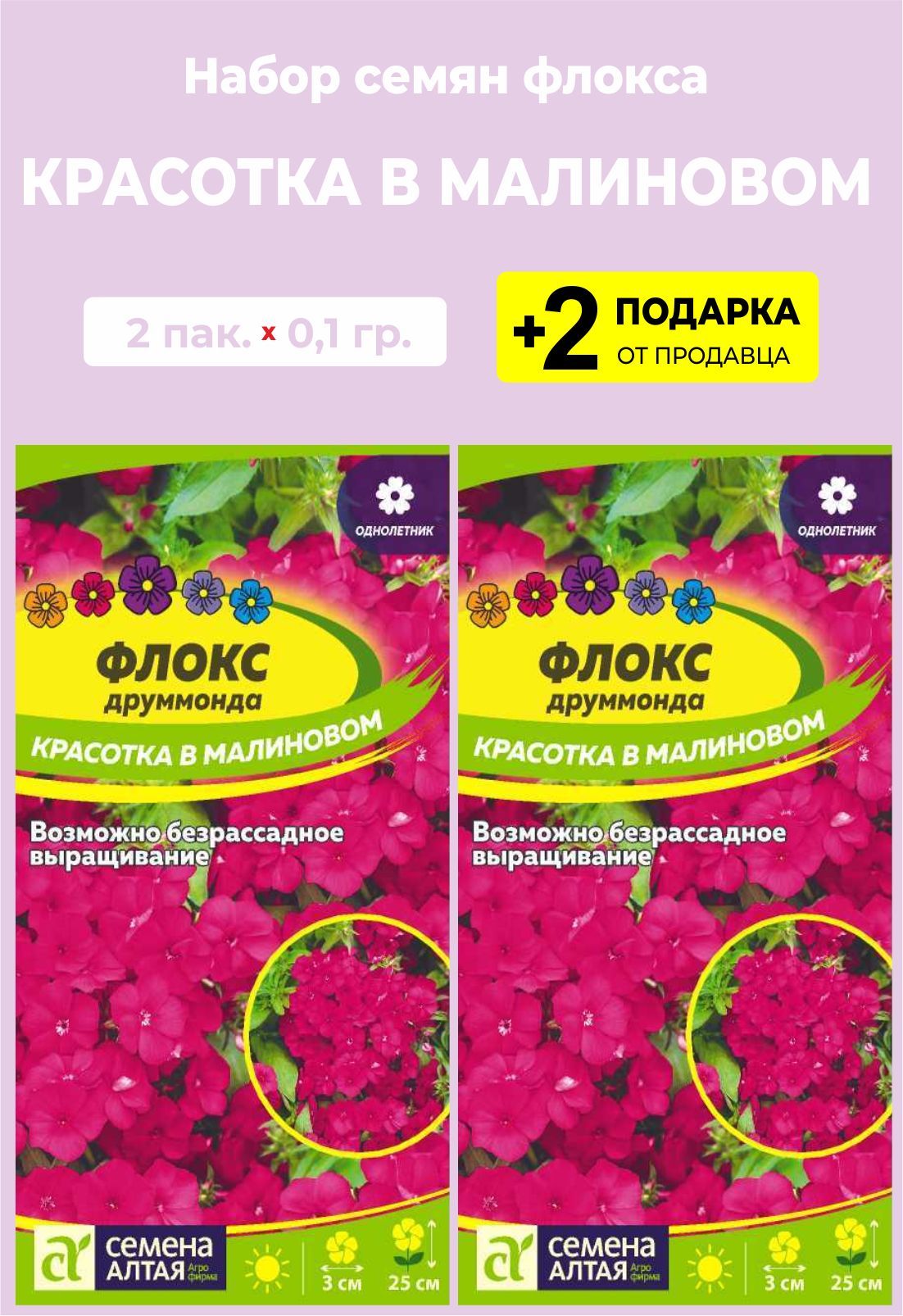 Флоксы Однолетние Купить Семена