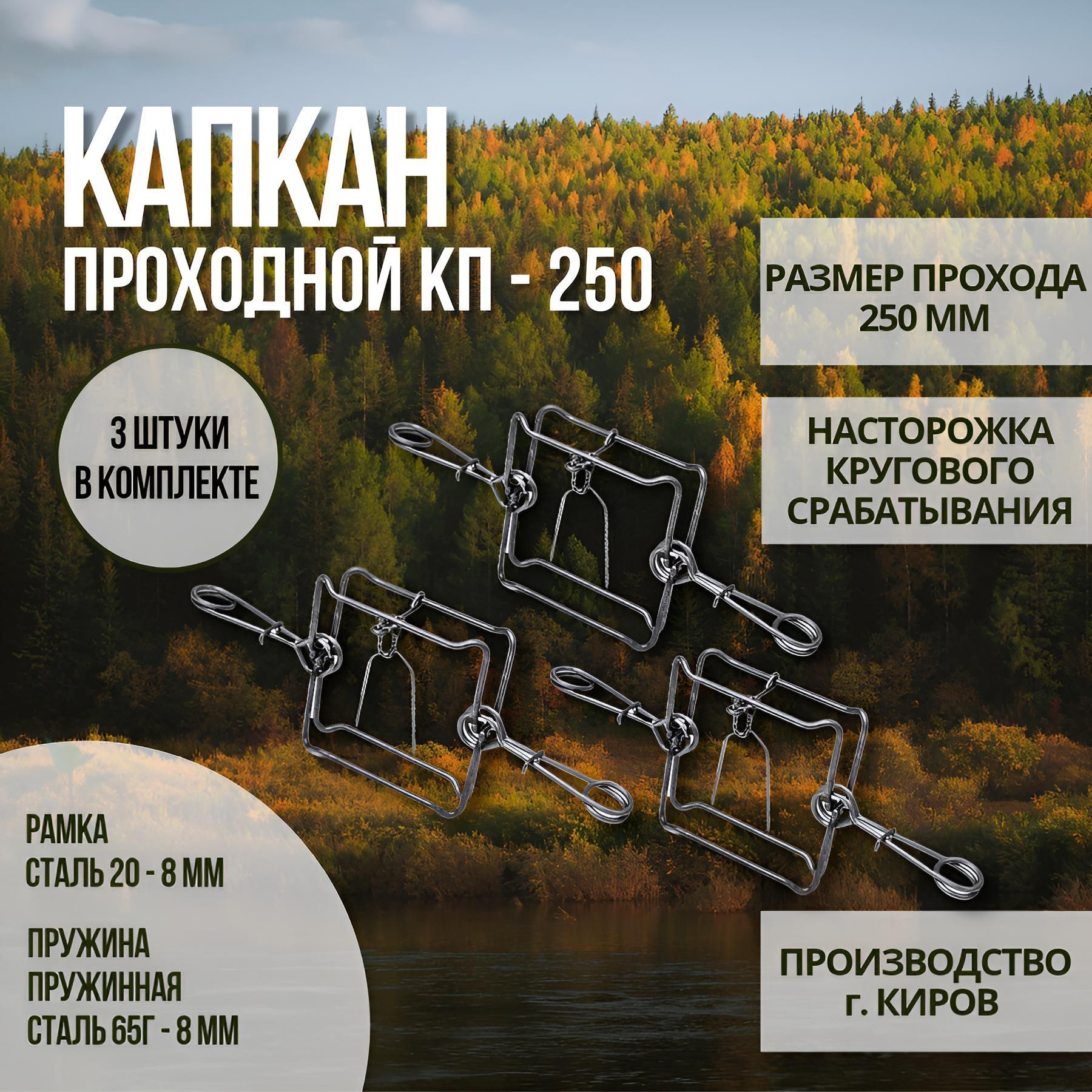 Капкан КП 250. Постановка капкана 250 КП лесенкой.