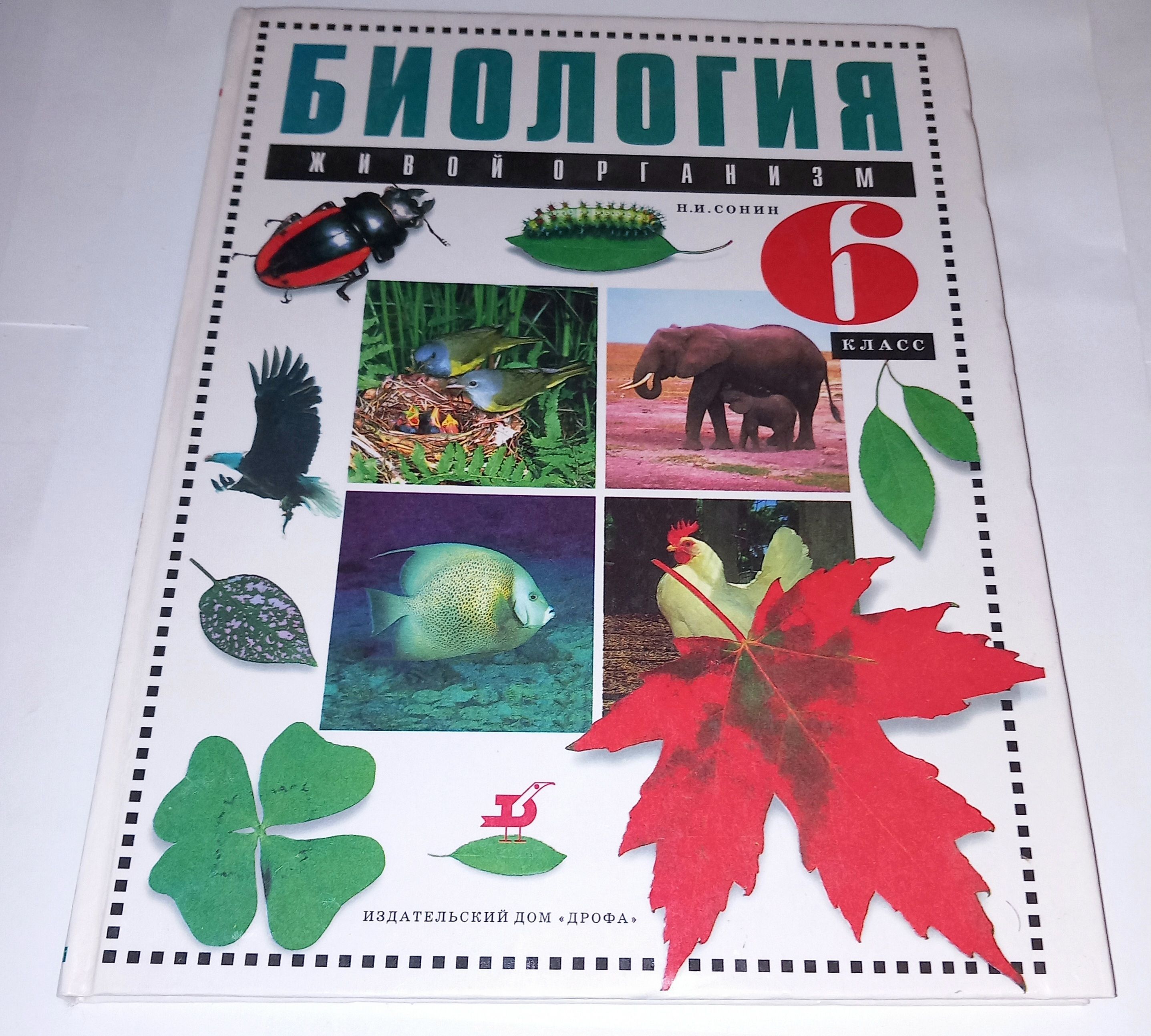 Биология Живой организм 6 Класс . Н И Сонин . 2000 Год | Сонин Николай  Иванович - купить с доставкой по выгодным ценам в интернет-магазине OZON  (1228741175)