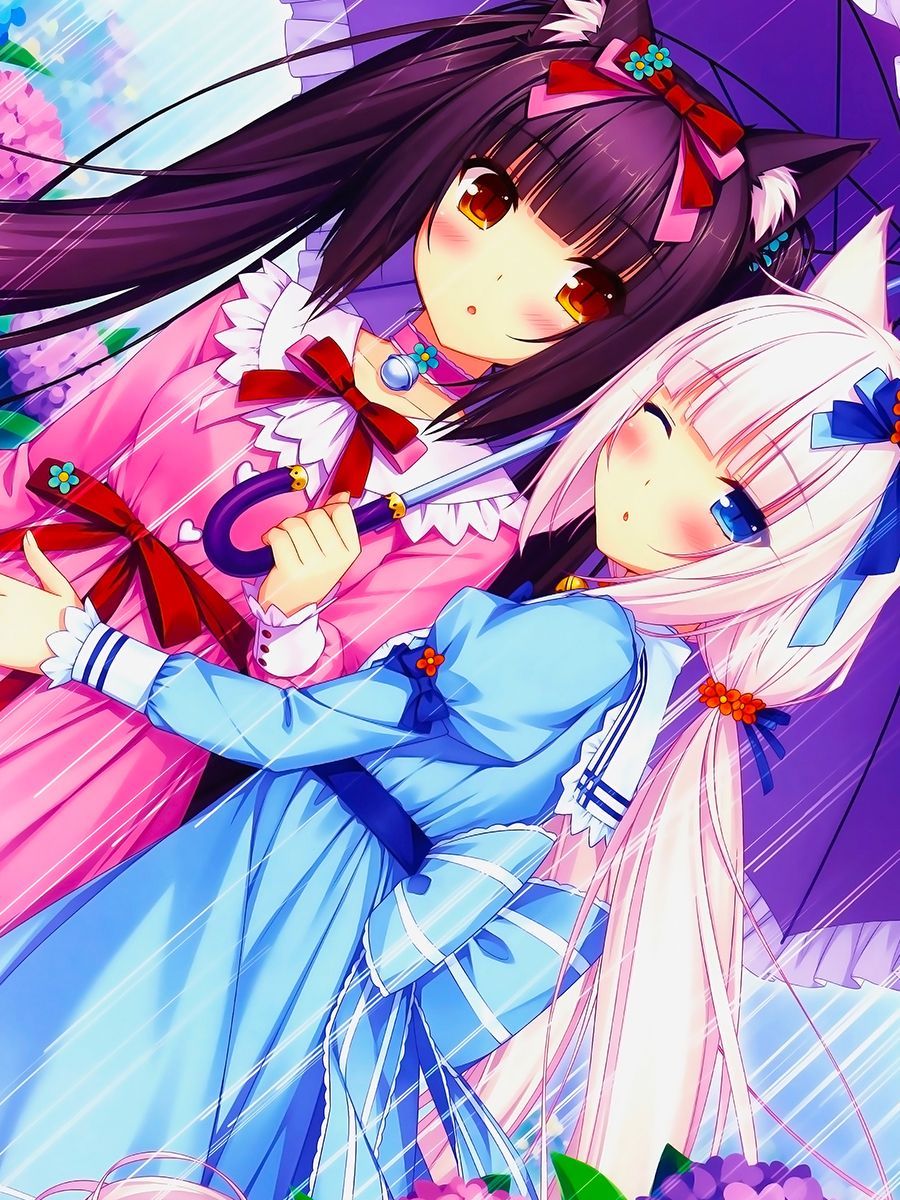 Кошачий рай Nekopara