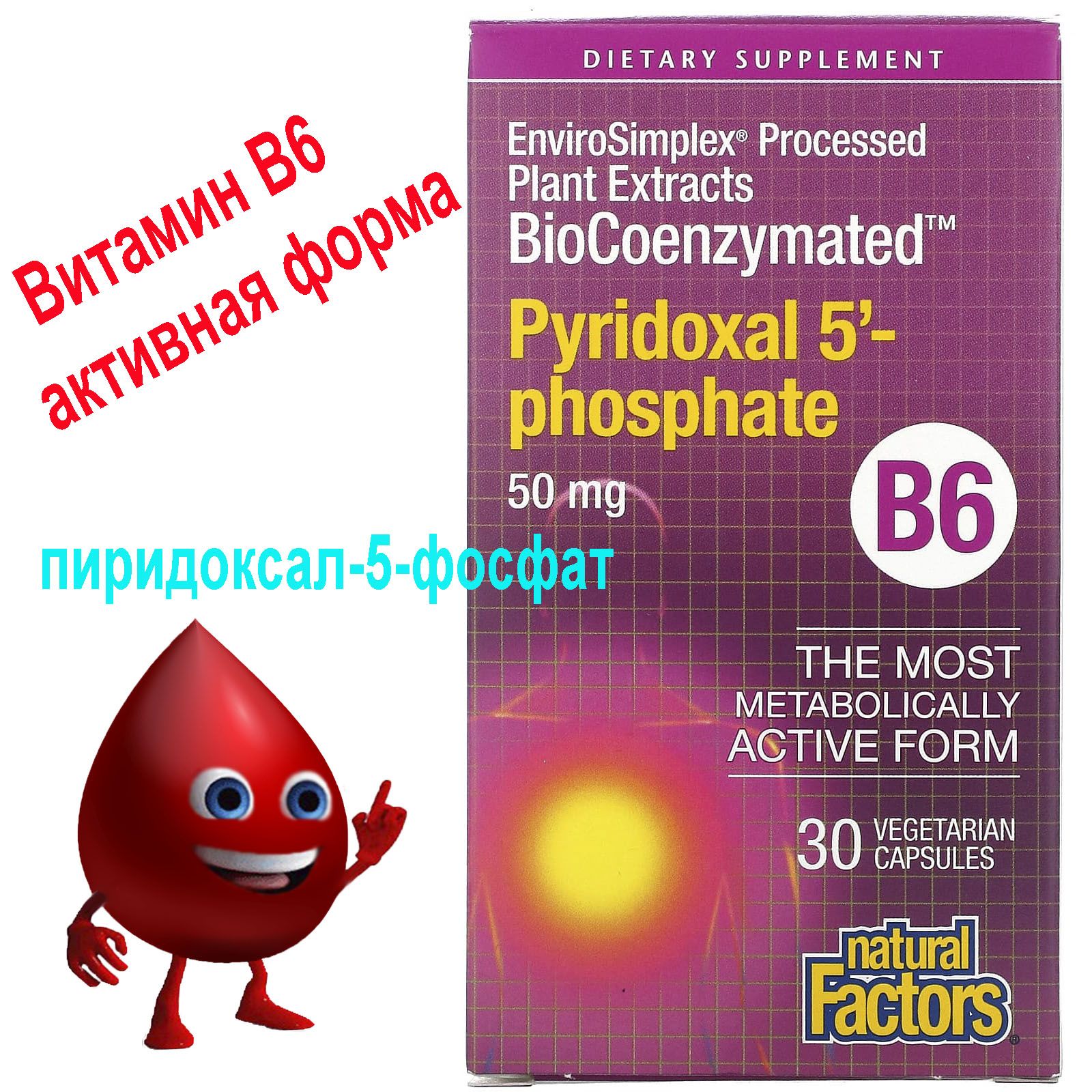 Natural Factors BioCoenzymated B6 пиридоксал-5-фосфат 50мг*30  вегетарианских капсул - купить с доставкой по выгодным ценам в  интернет-магазине OZON (1061470349)