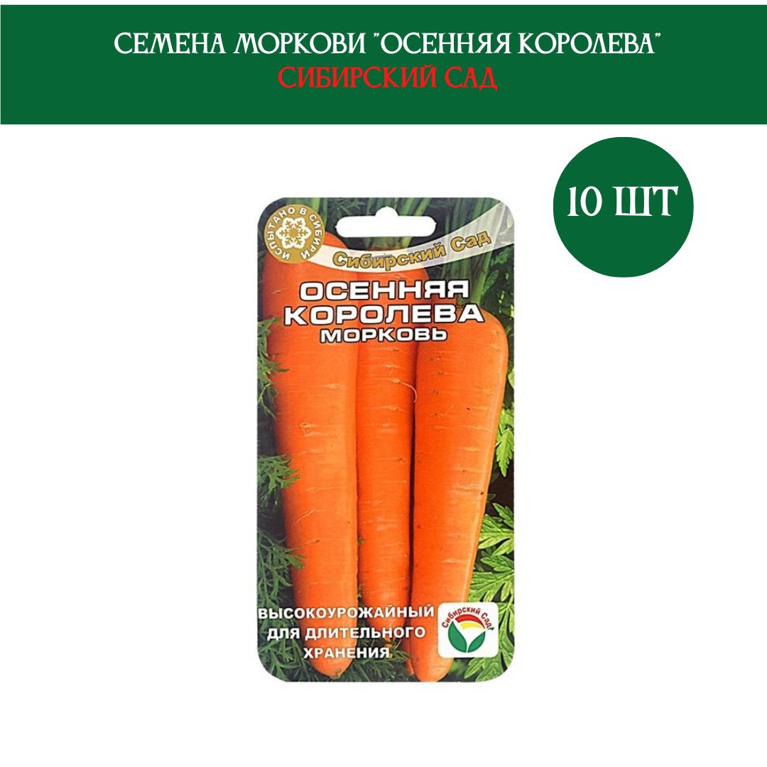 Королева Осени Морковь Фото Отзывы Описание