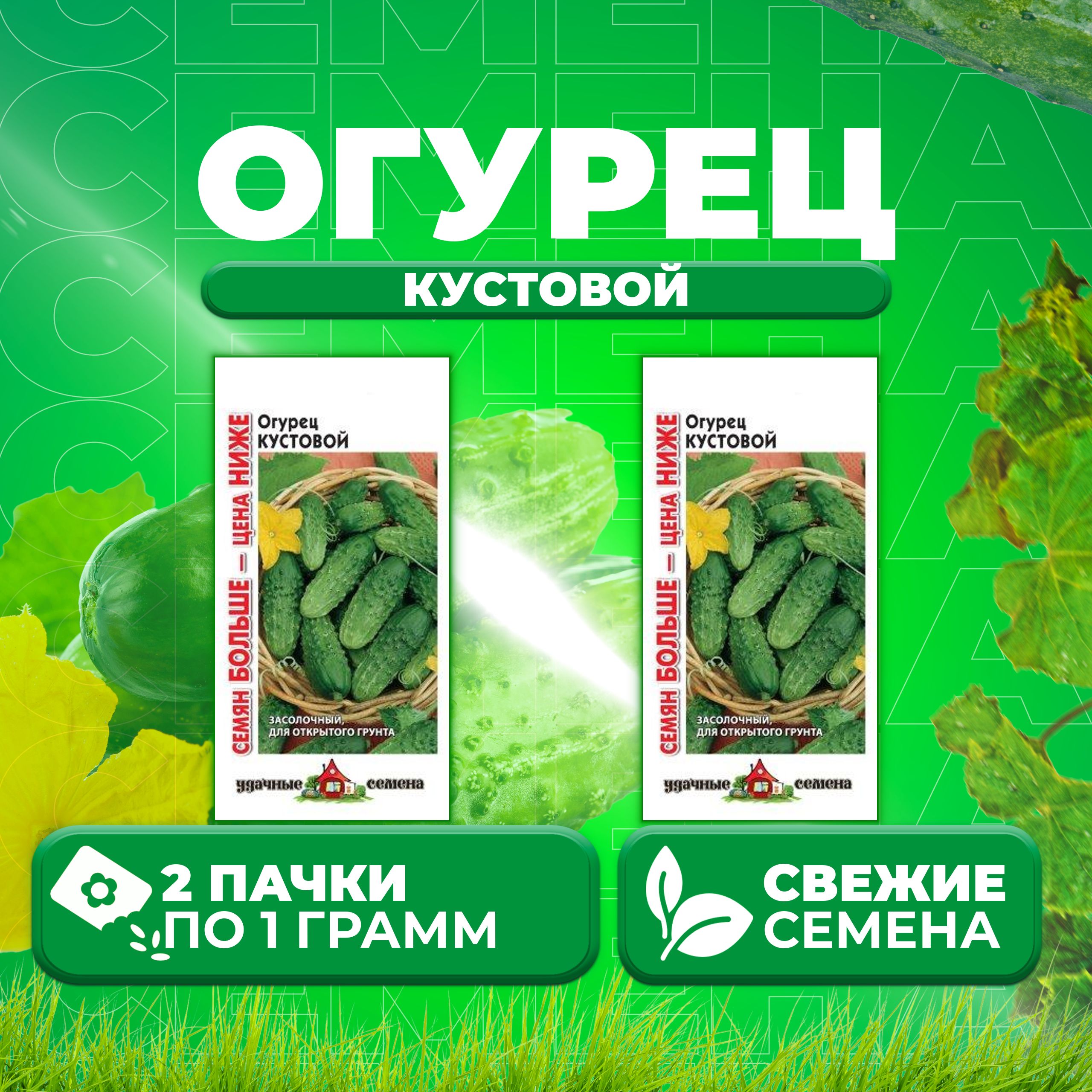 Купить Семена Огурцов Кустовой