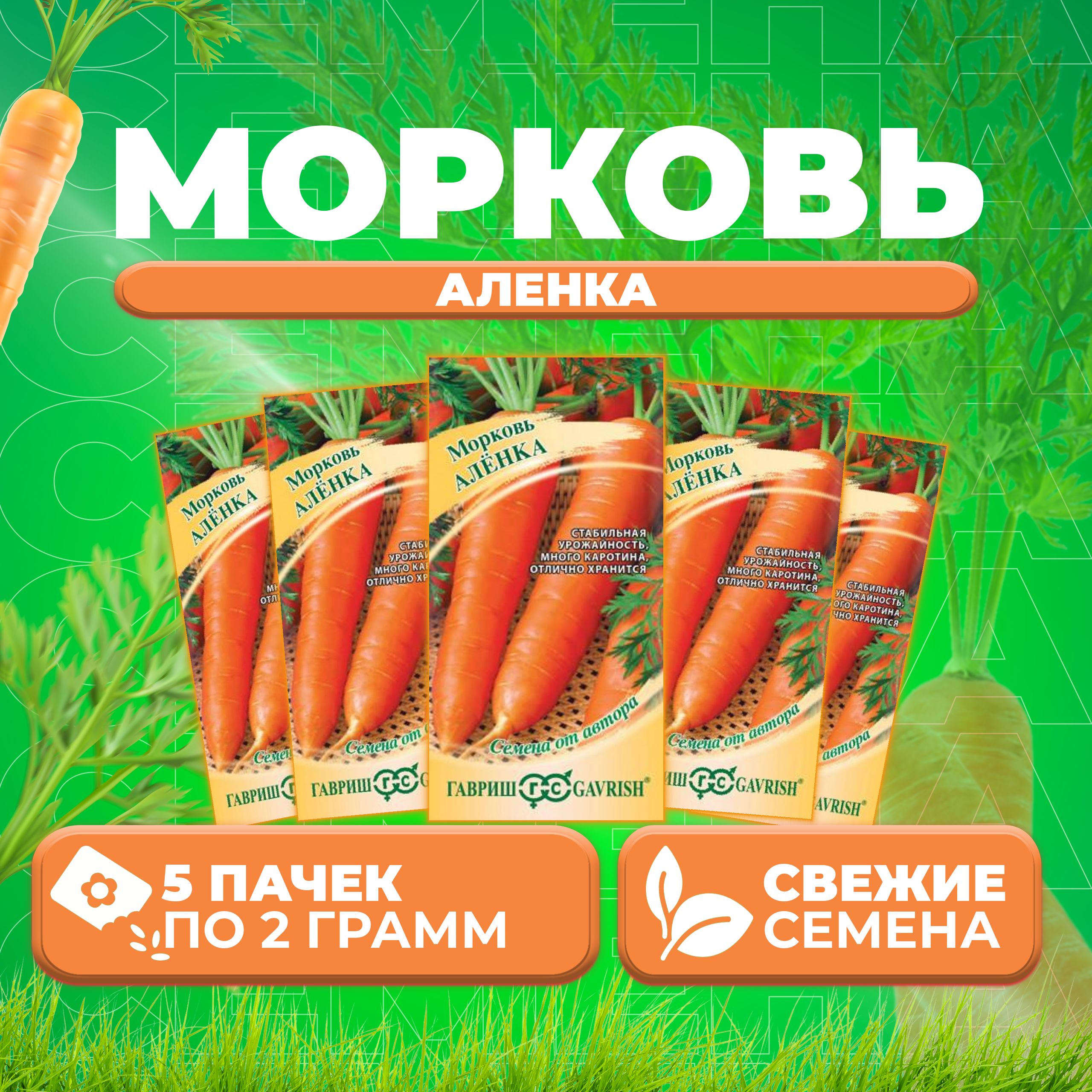 Морковь аленка. Морковь аленка